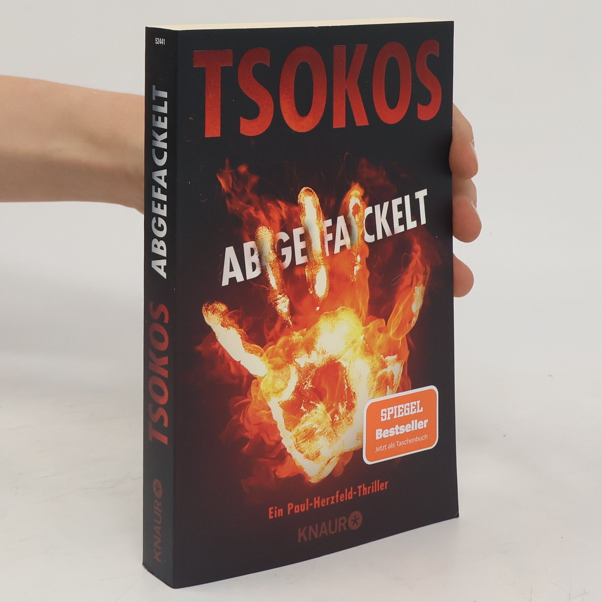 Michael Tsokos Abgefackelt