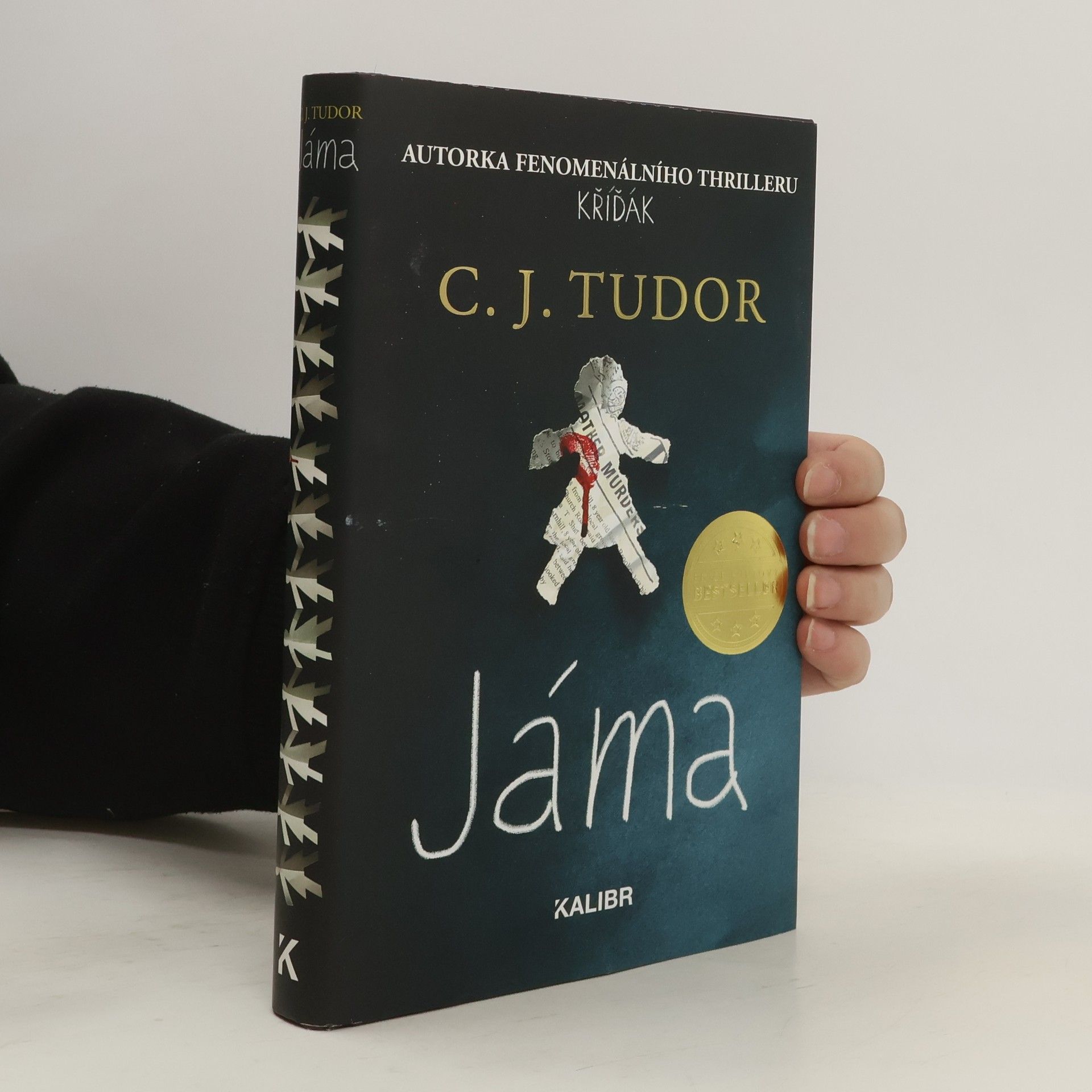 C.J. Tudor Jáma