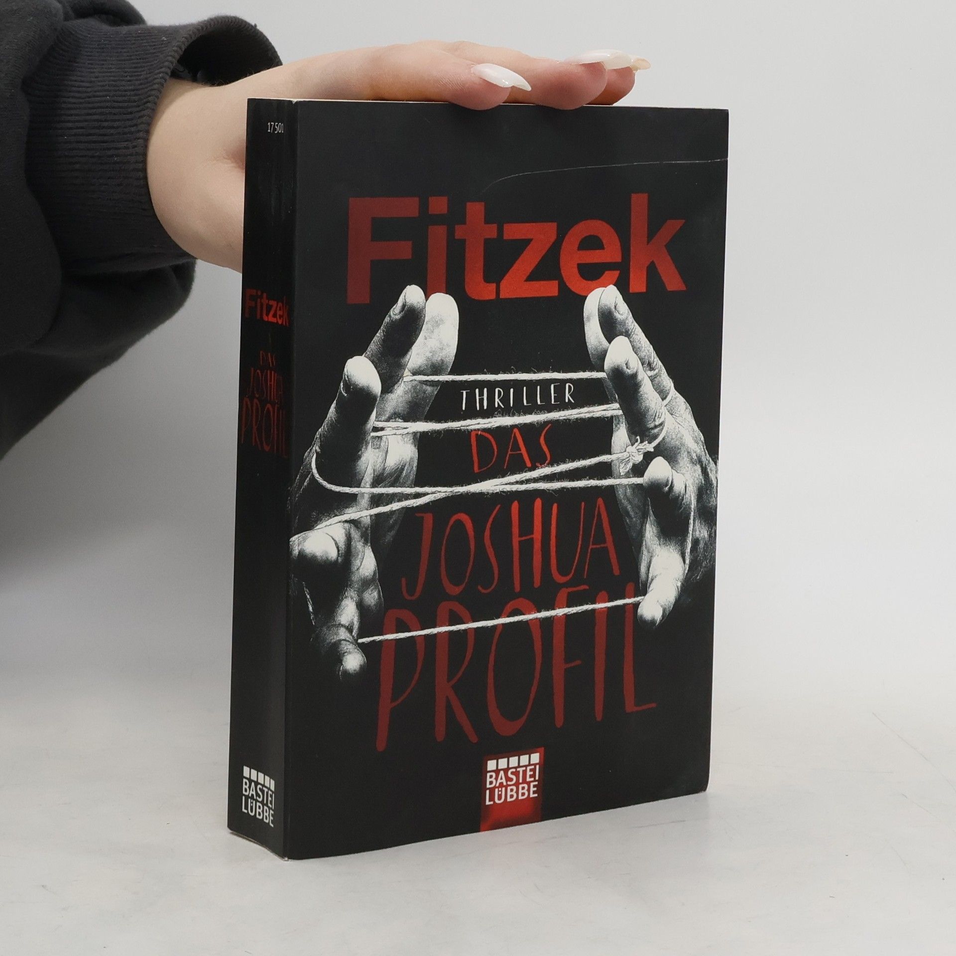 Sebastian Fitzek Das Joshua-Profil