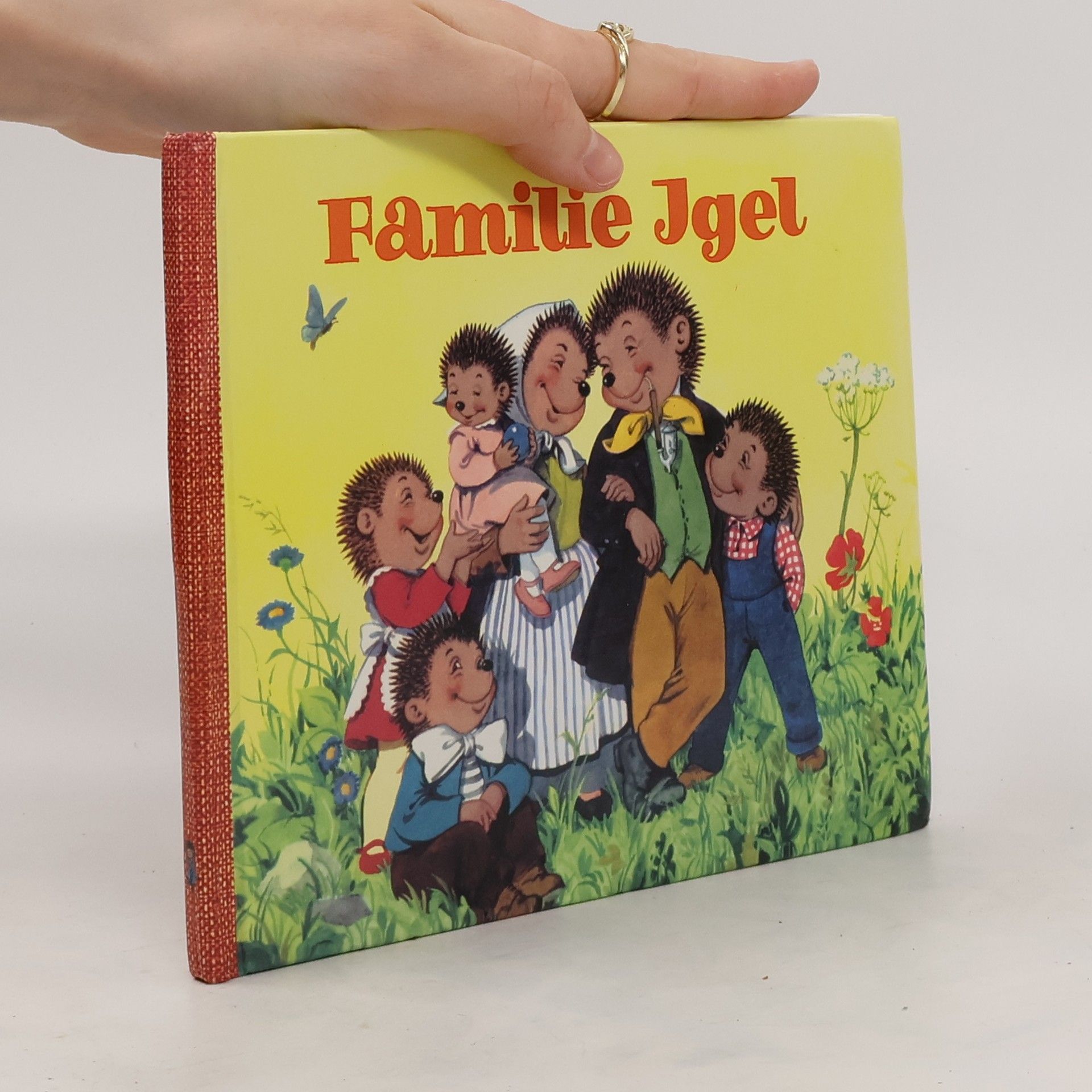 Autorenkollektiv Familie Igel