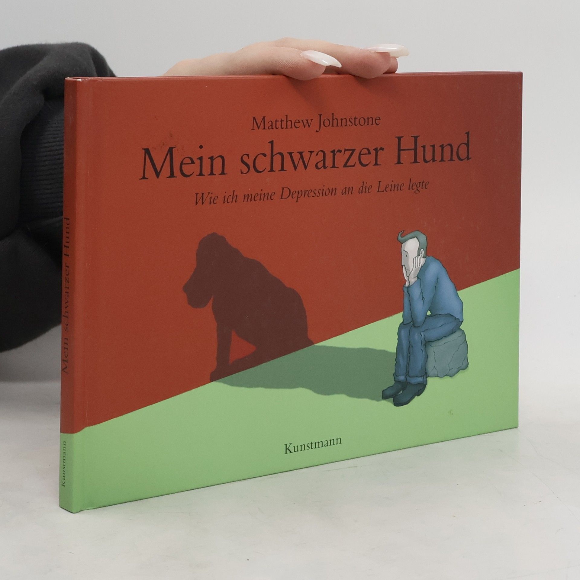 Matthew Johnstone Mein schwarzer Hund