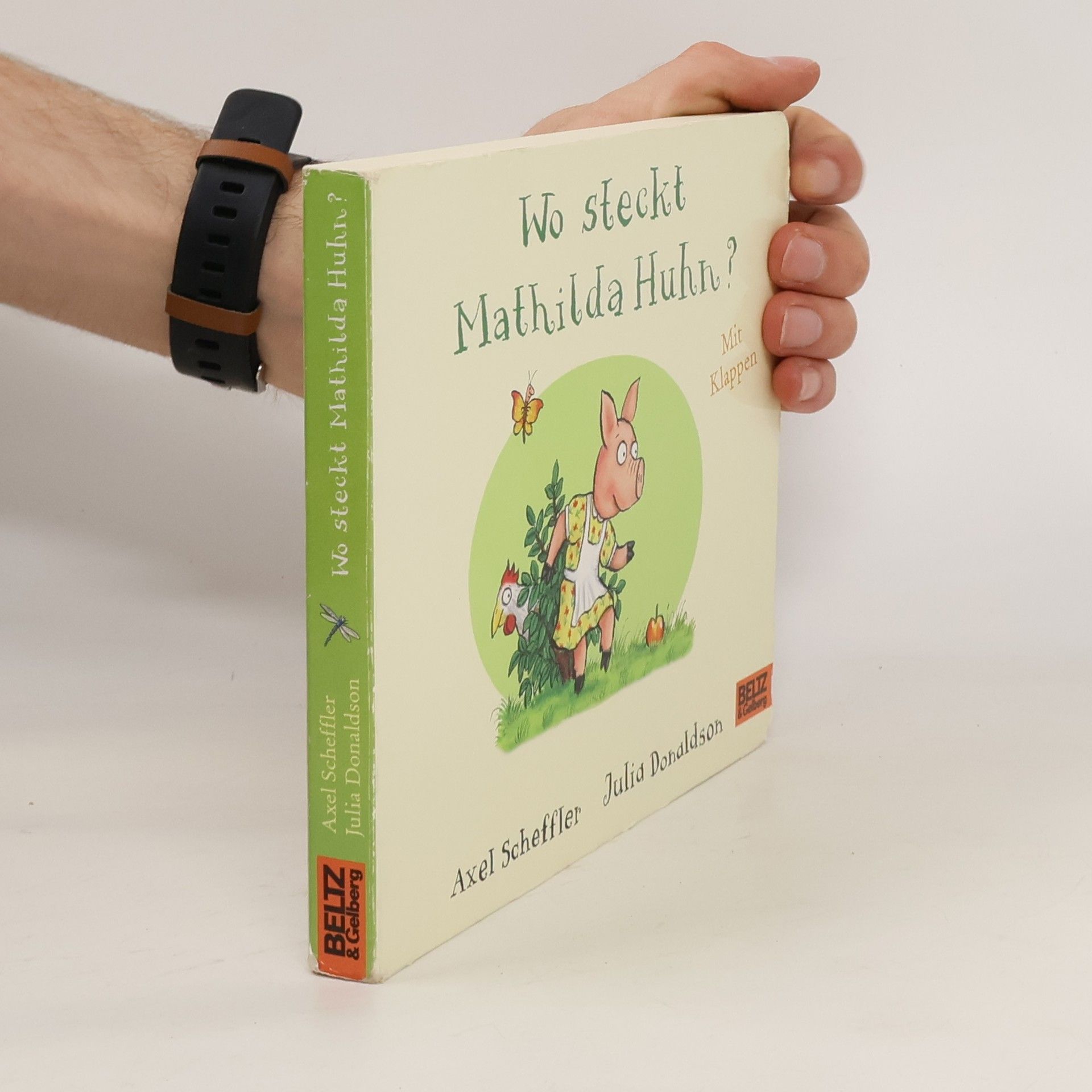Axel Scheffler Wo steckt Mathilda Huhn?