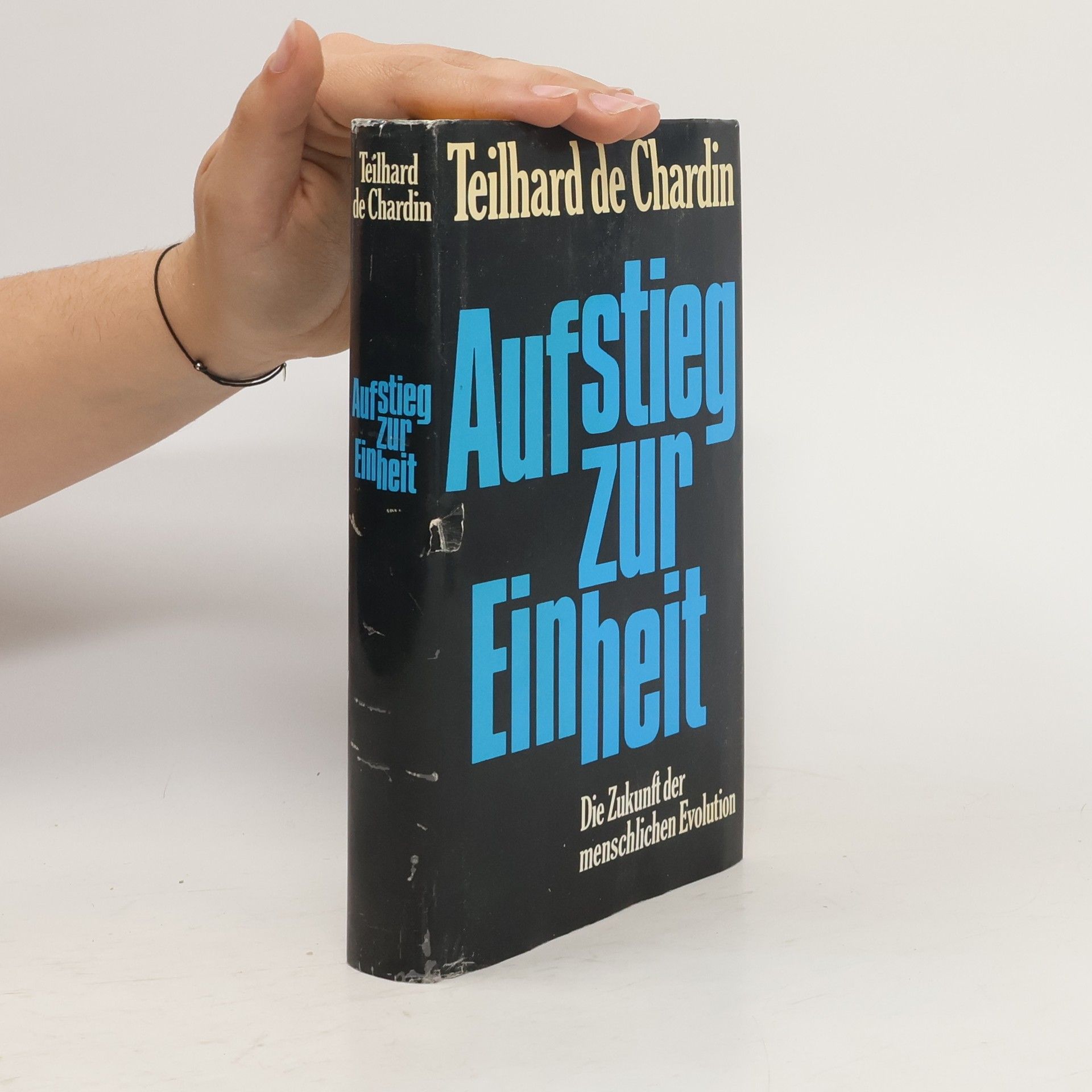 Teilhard de Chardin Aufstieg zur Einheit