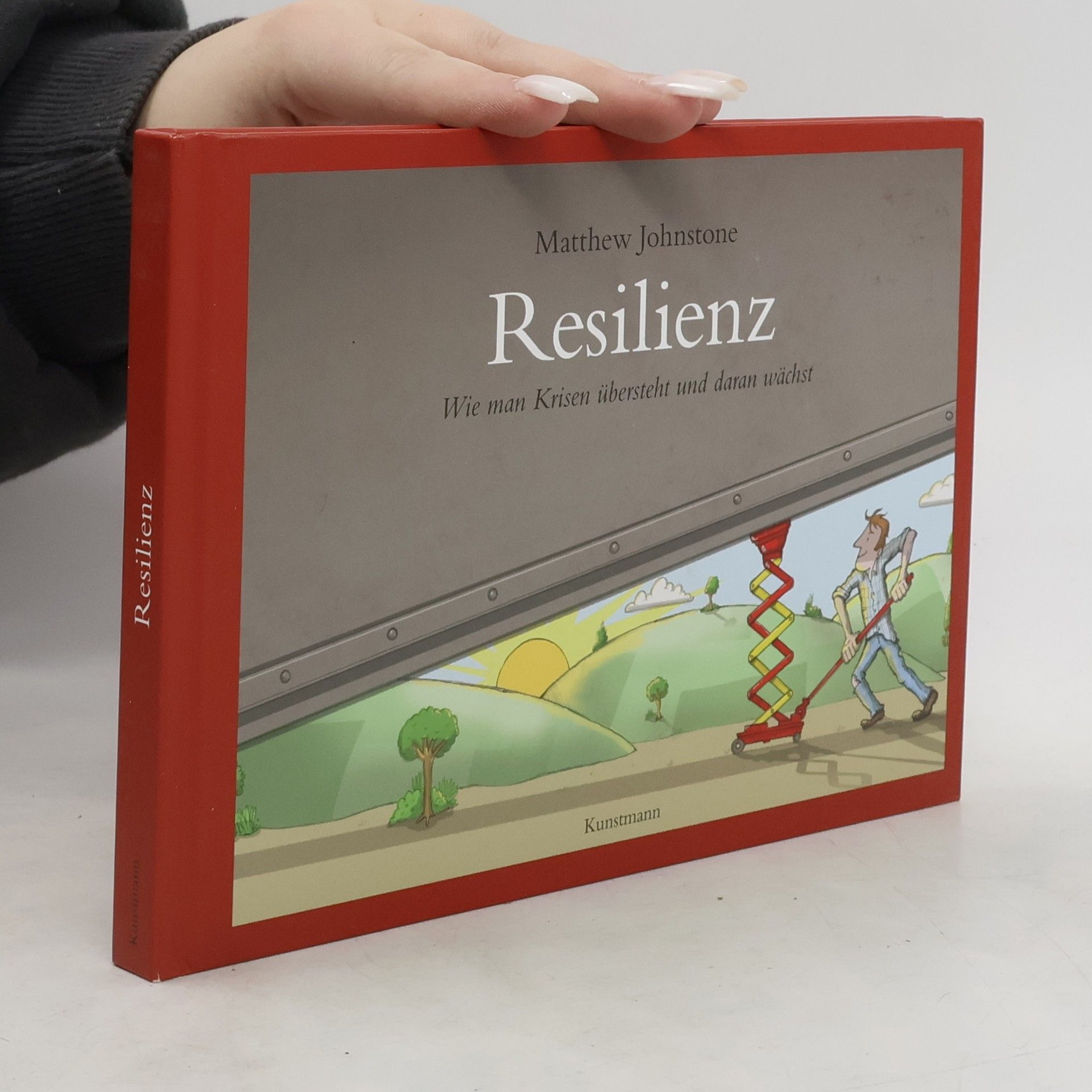 Matthew Johnstone Resilienz