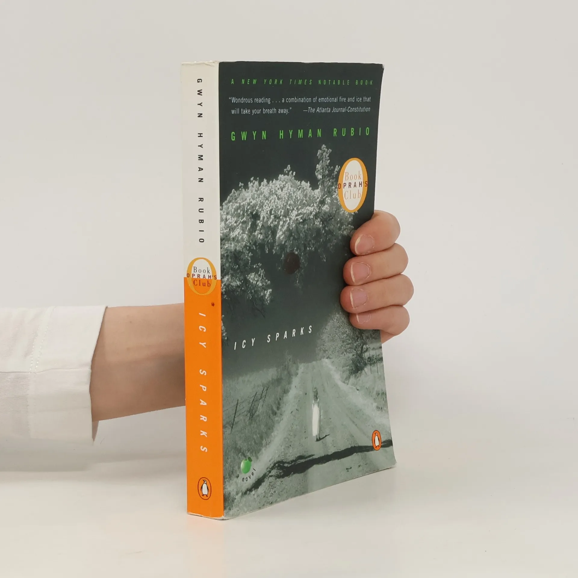 Icy Sparks | Book | Paperback | Gwyn Hyman Rubio | EN