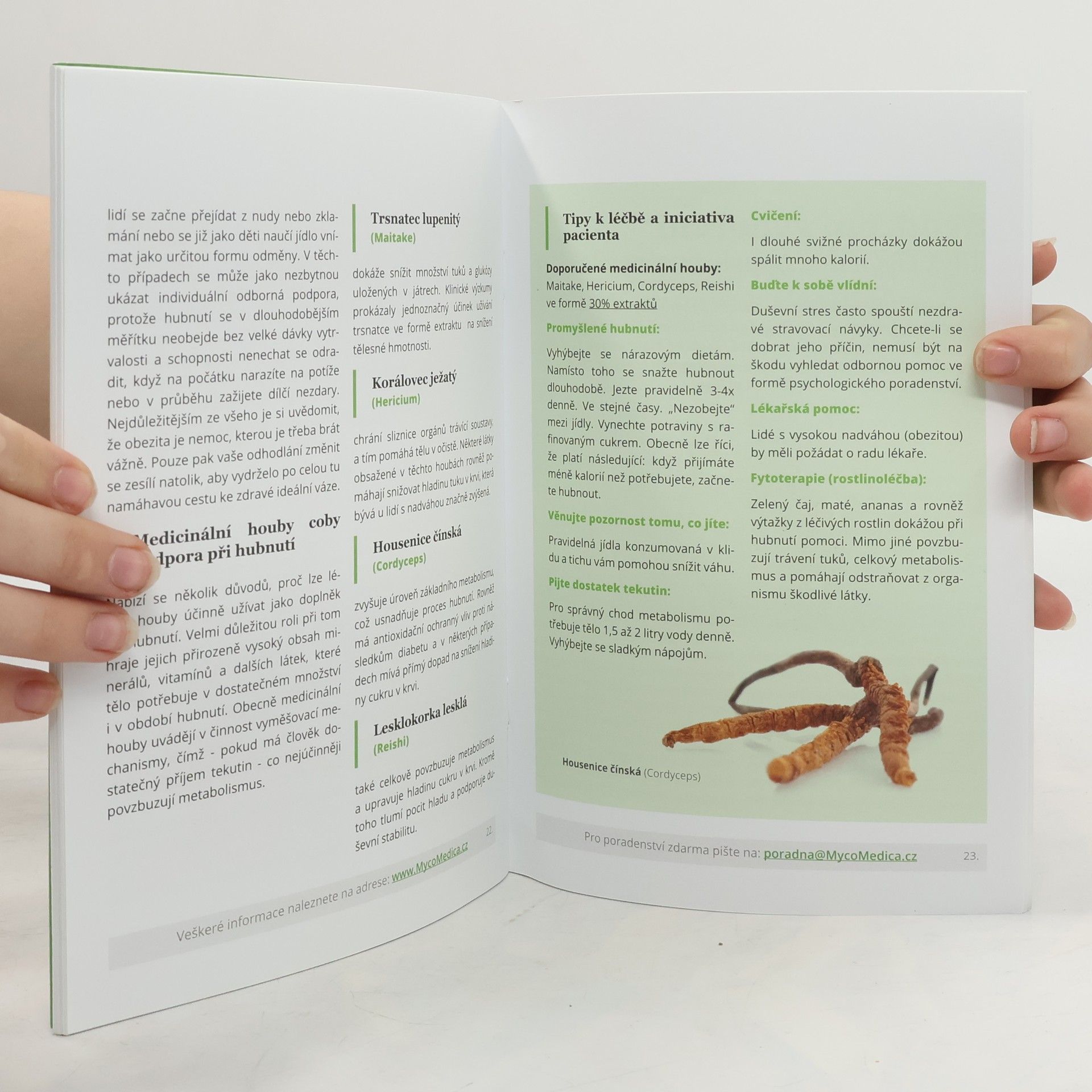 Autorenkollektiv Medicinální houby pro chronické nemoci