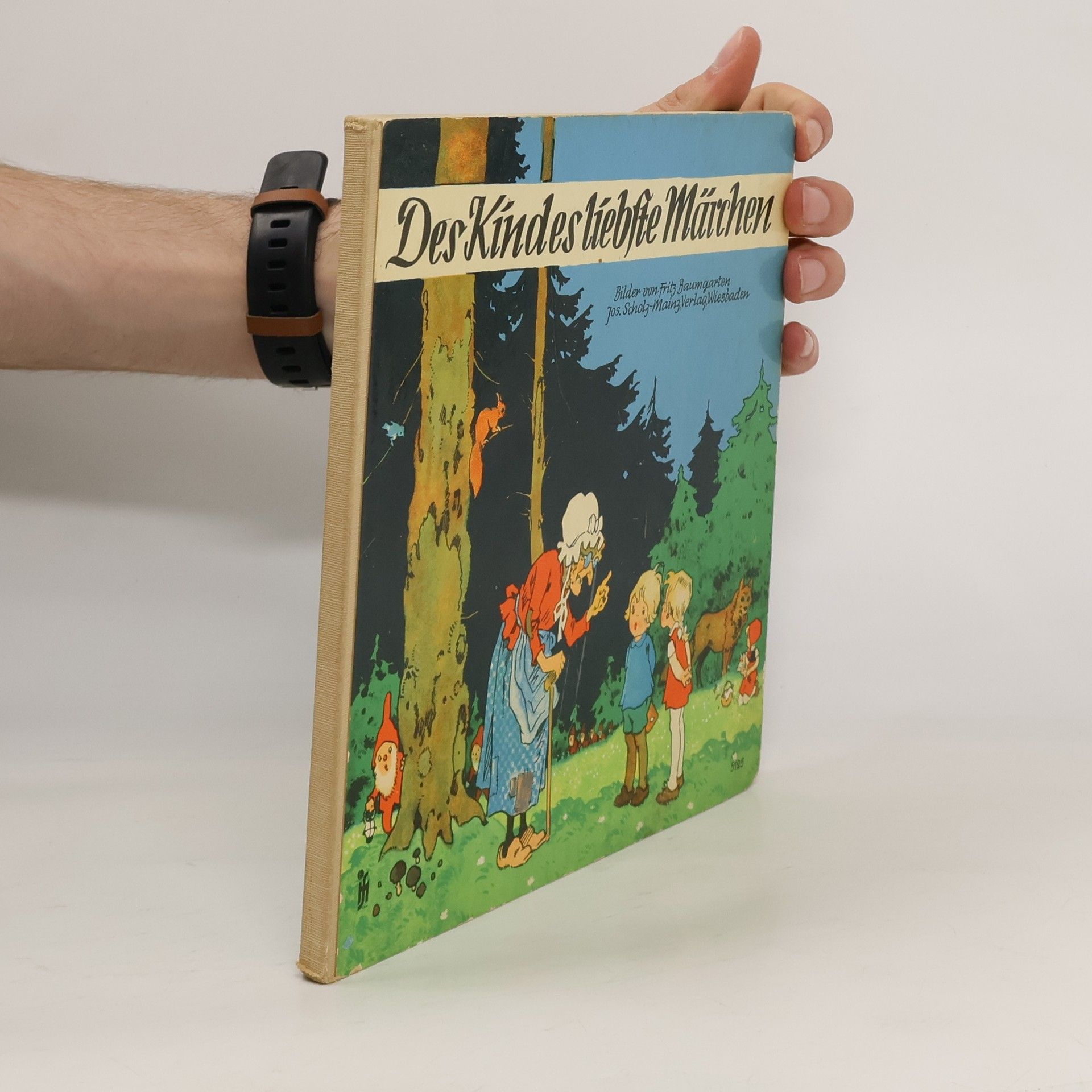 Kolektiv autorů Des Kindes liebte Märchen