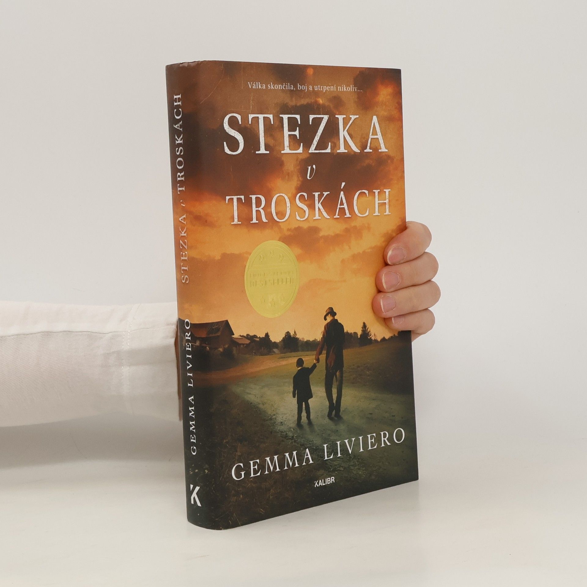 Gemma Liviero Stezka v troskách