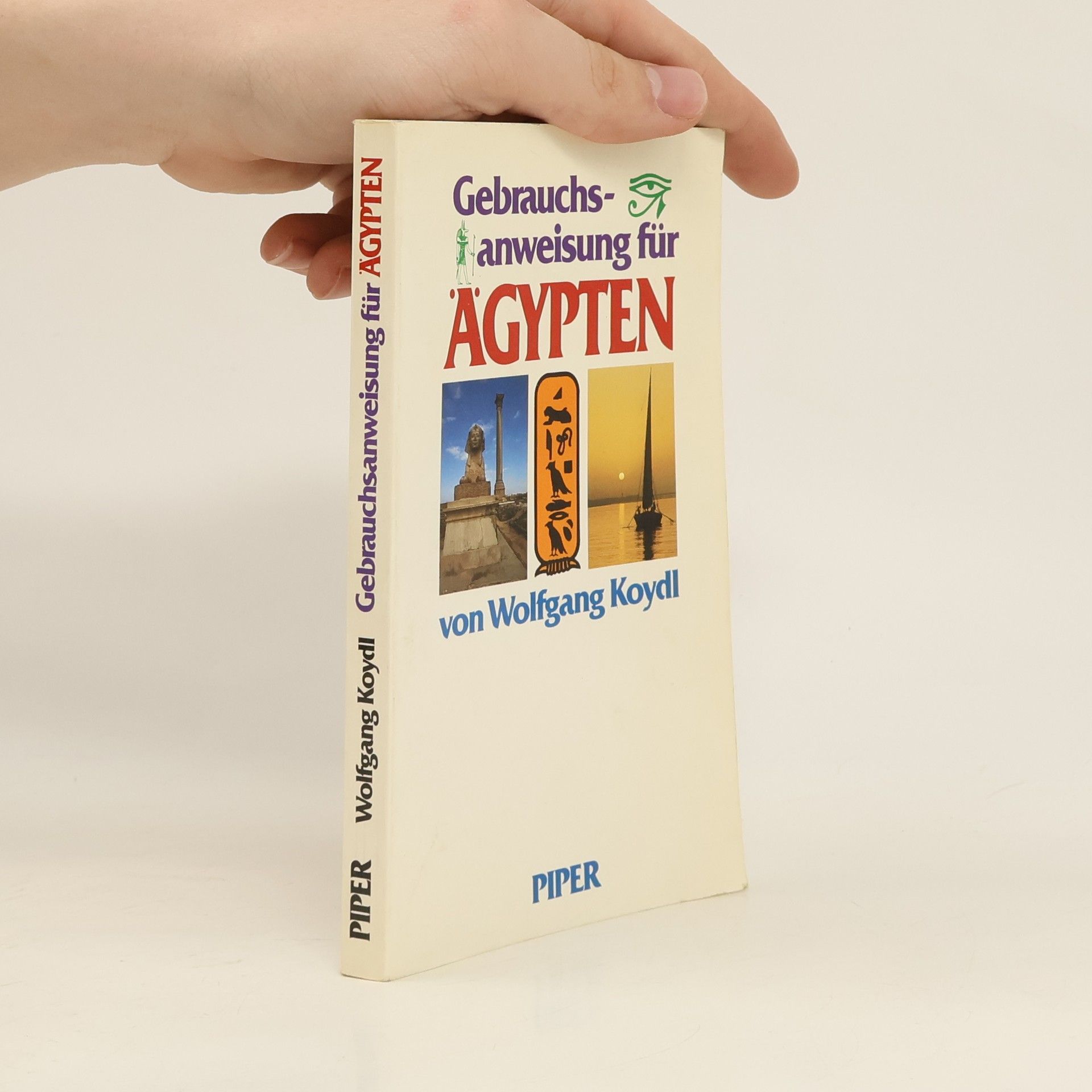 Wolfgang Koydl Gebrauchsanweisung für Ägypten