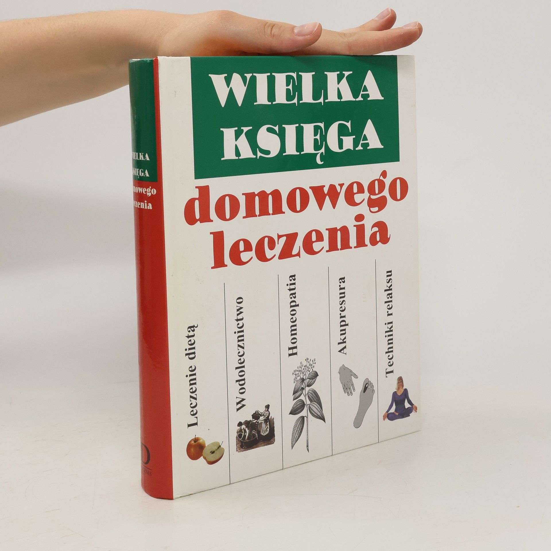 Collective Wielka księga domowego leczenia