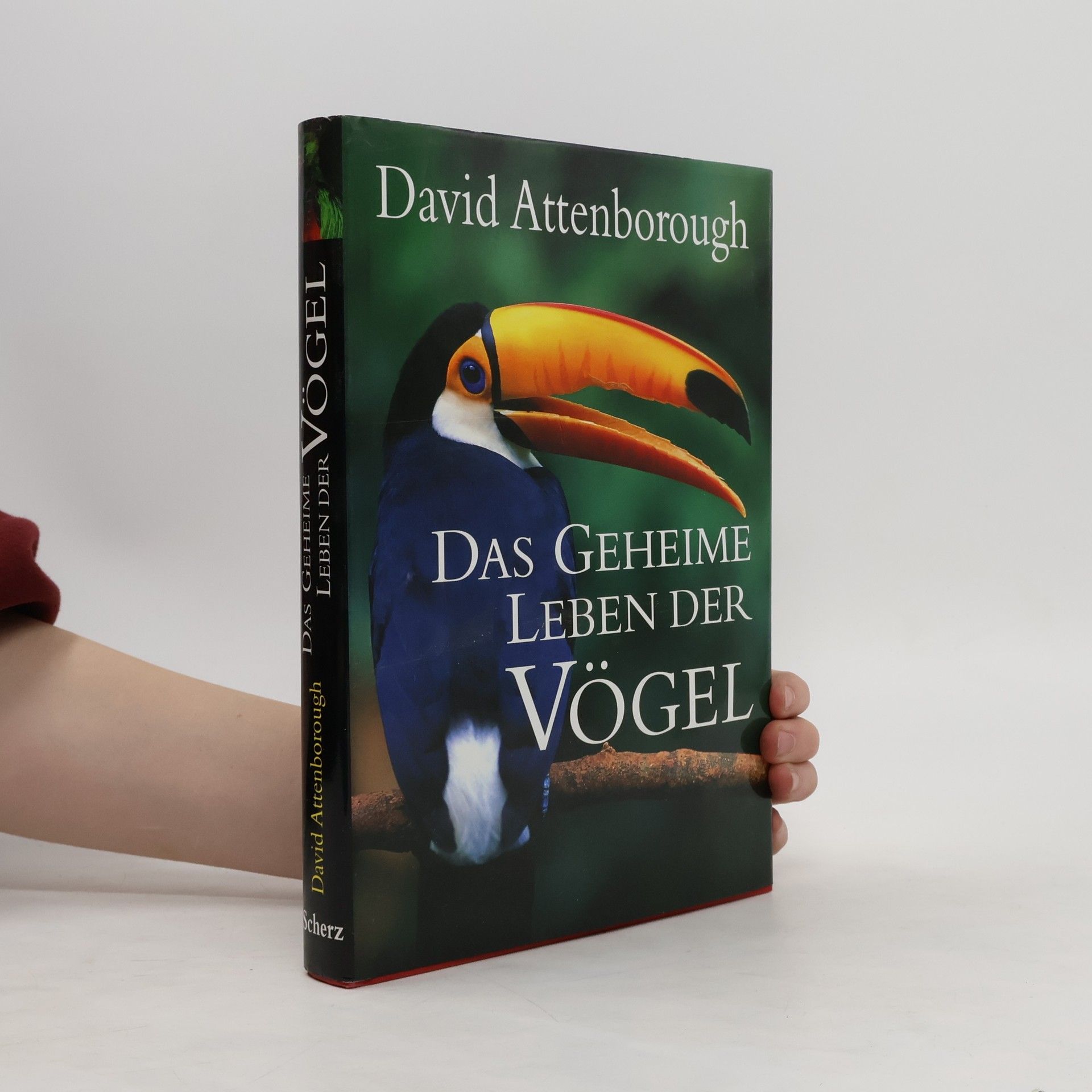 David Attenborough Das geheime Leben der Vögel