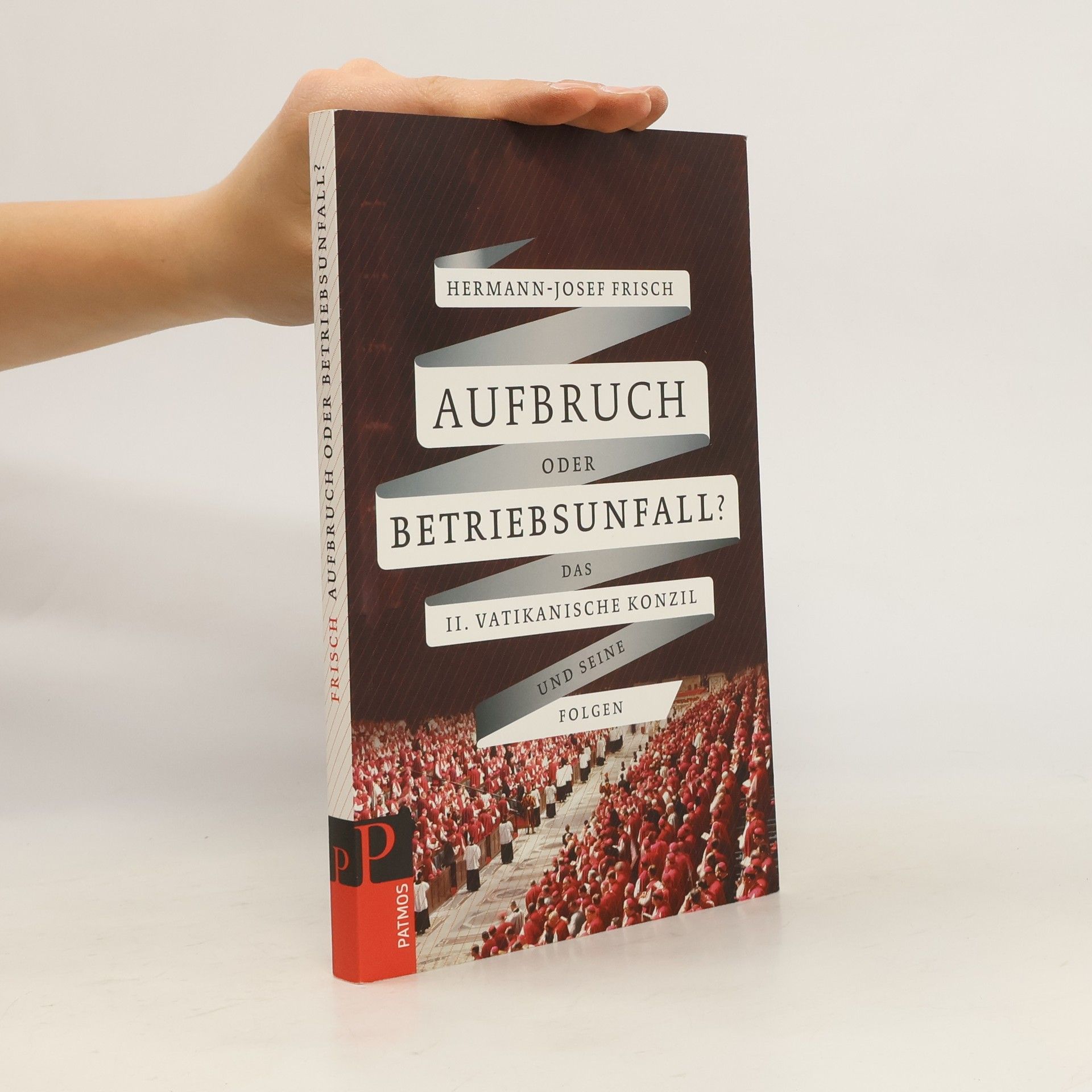 Hermann-Josef Frisch Aufbruch oder Betriebsunfall?