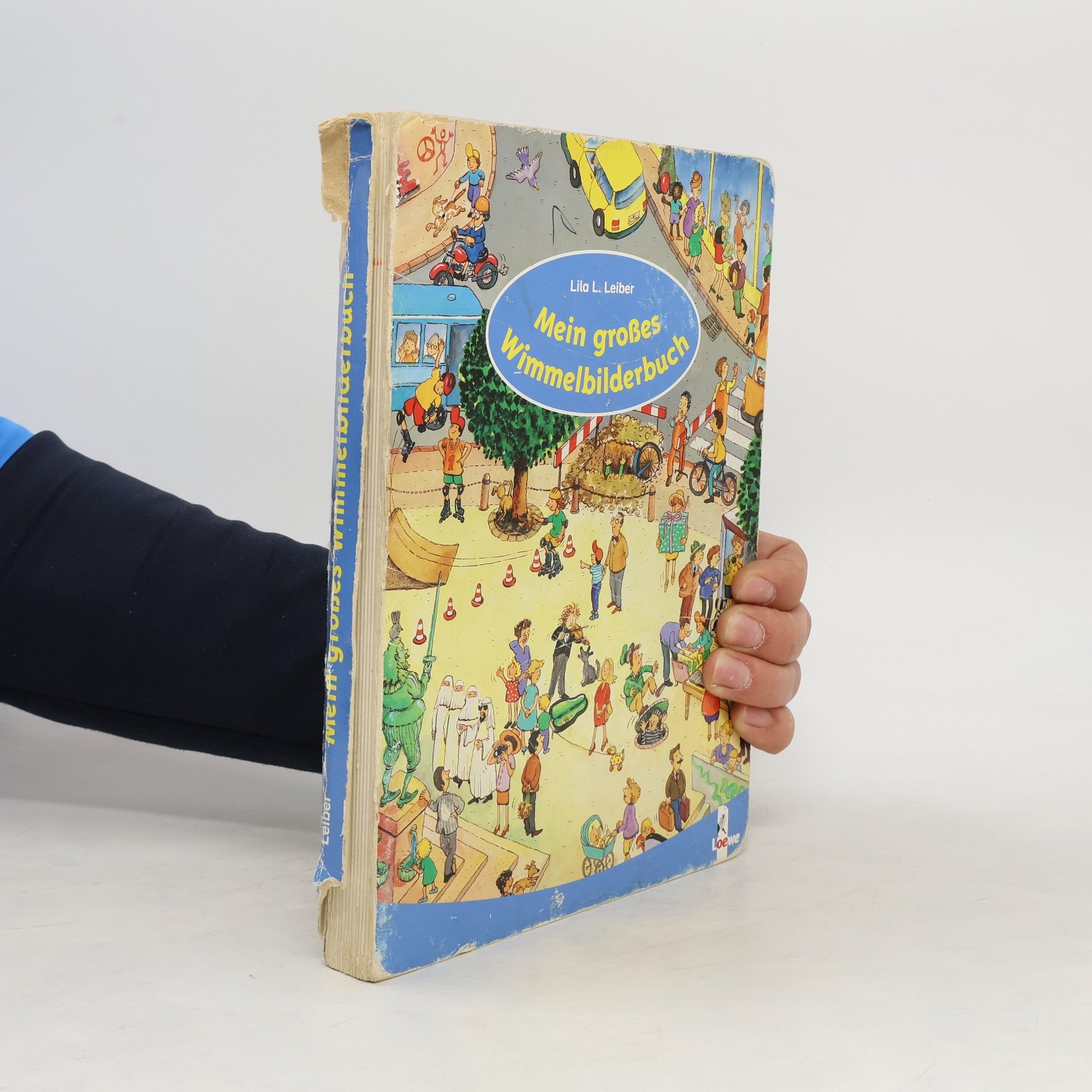 Lila L. Leiber Mein großes Wimmelbilderbuch