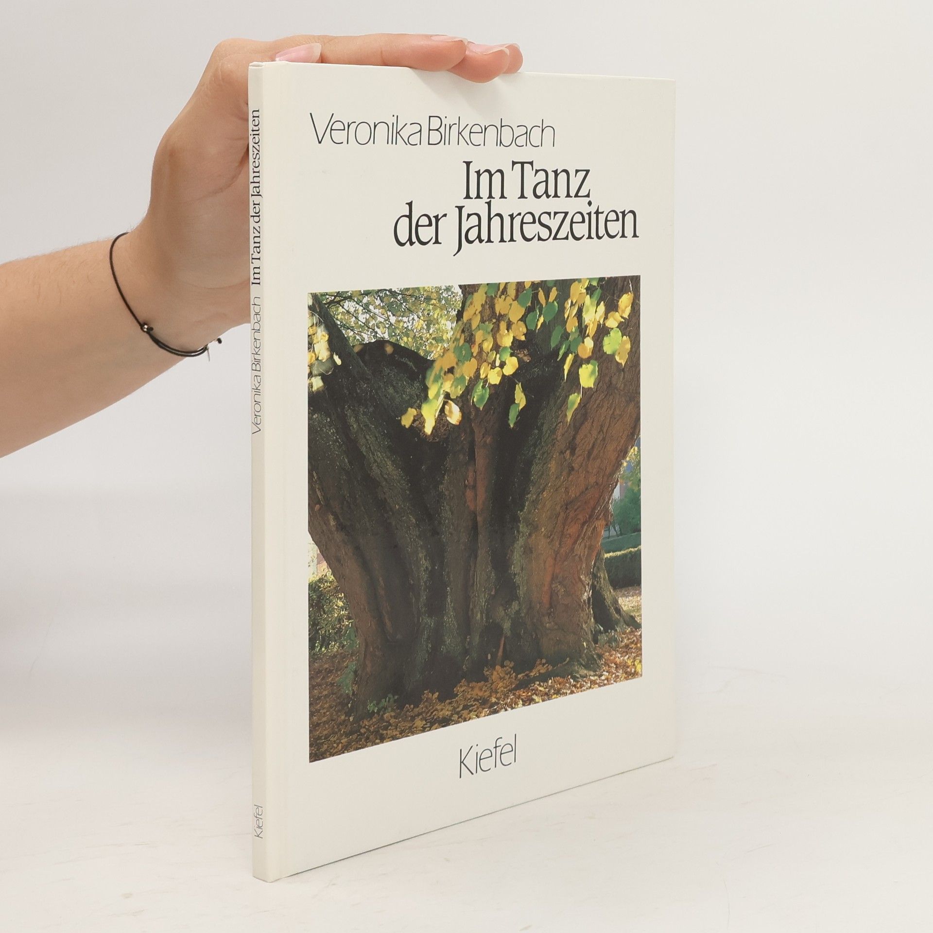 Veronika Birkenbach Im Tanz der Jahreszeiten