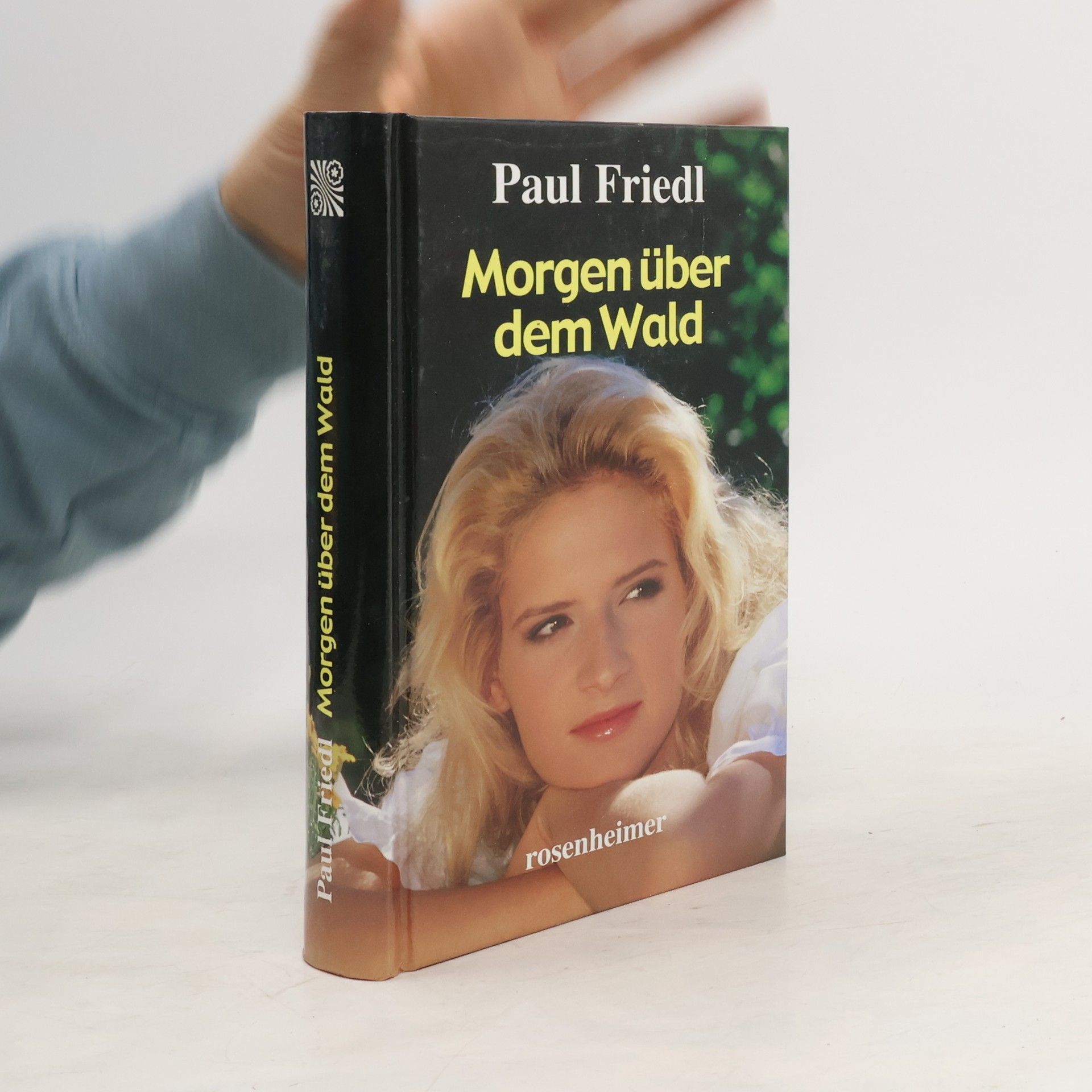 Paul Friedl Morgen über dem Wald