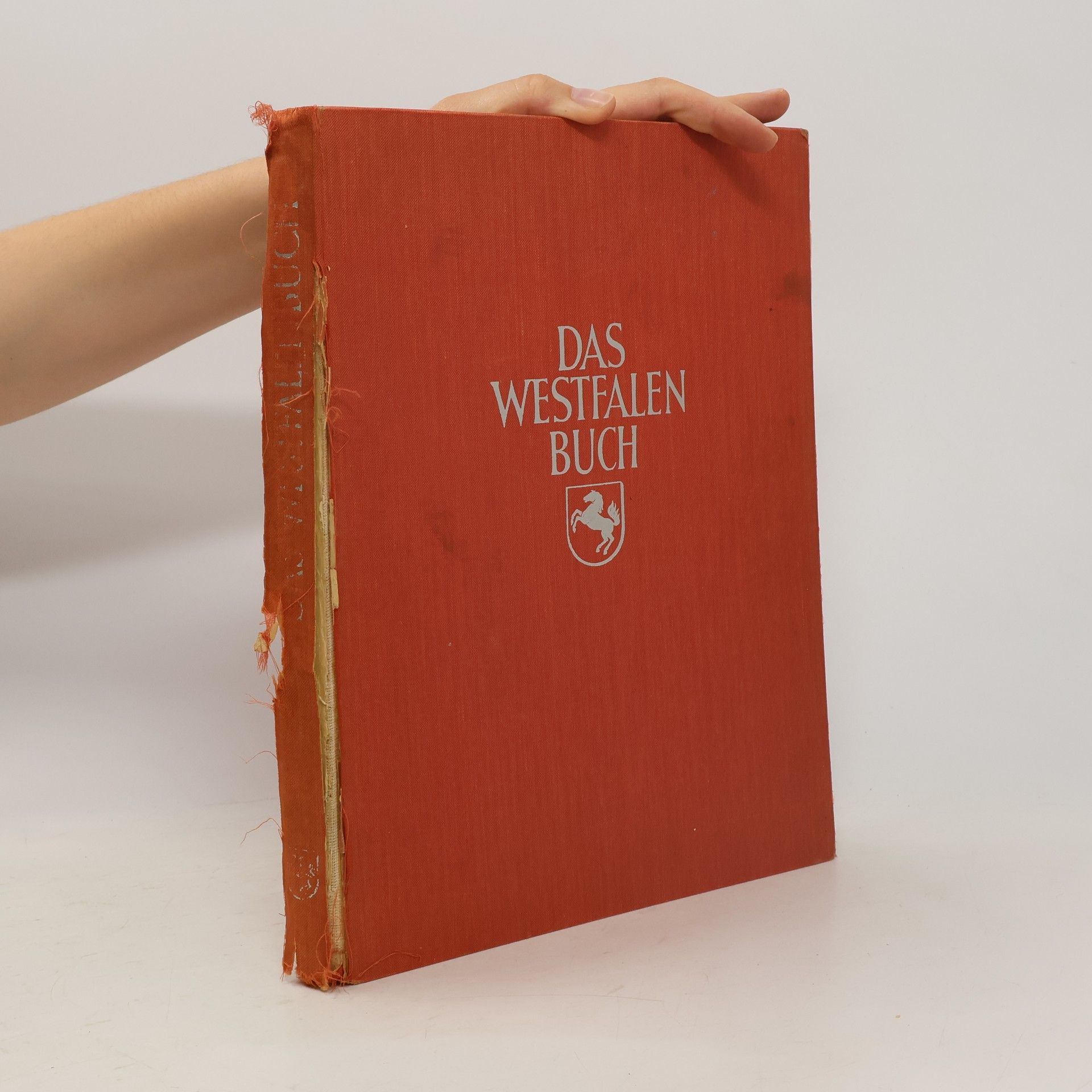 Bernhard Stolz Das Westfalenbuch