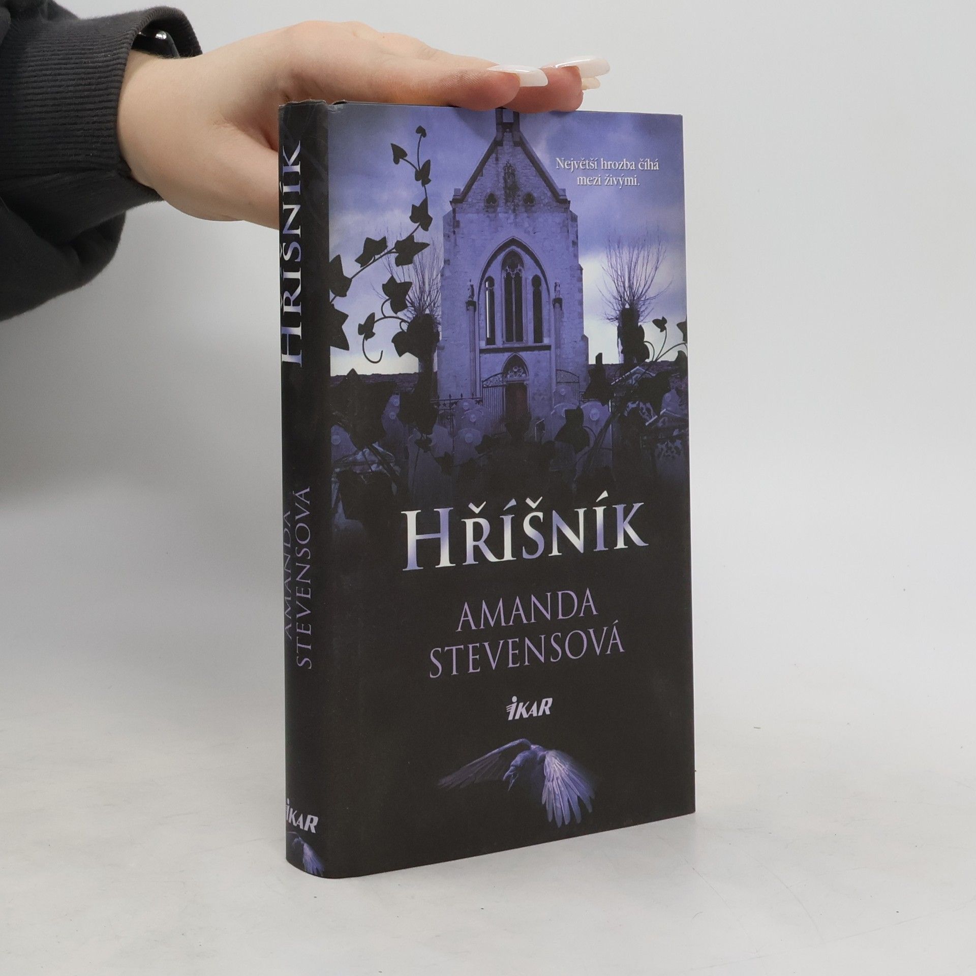 Amanda Stevens Hříšník