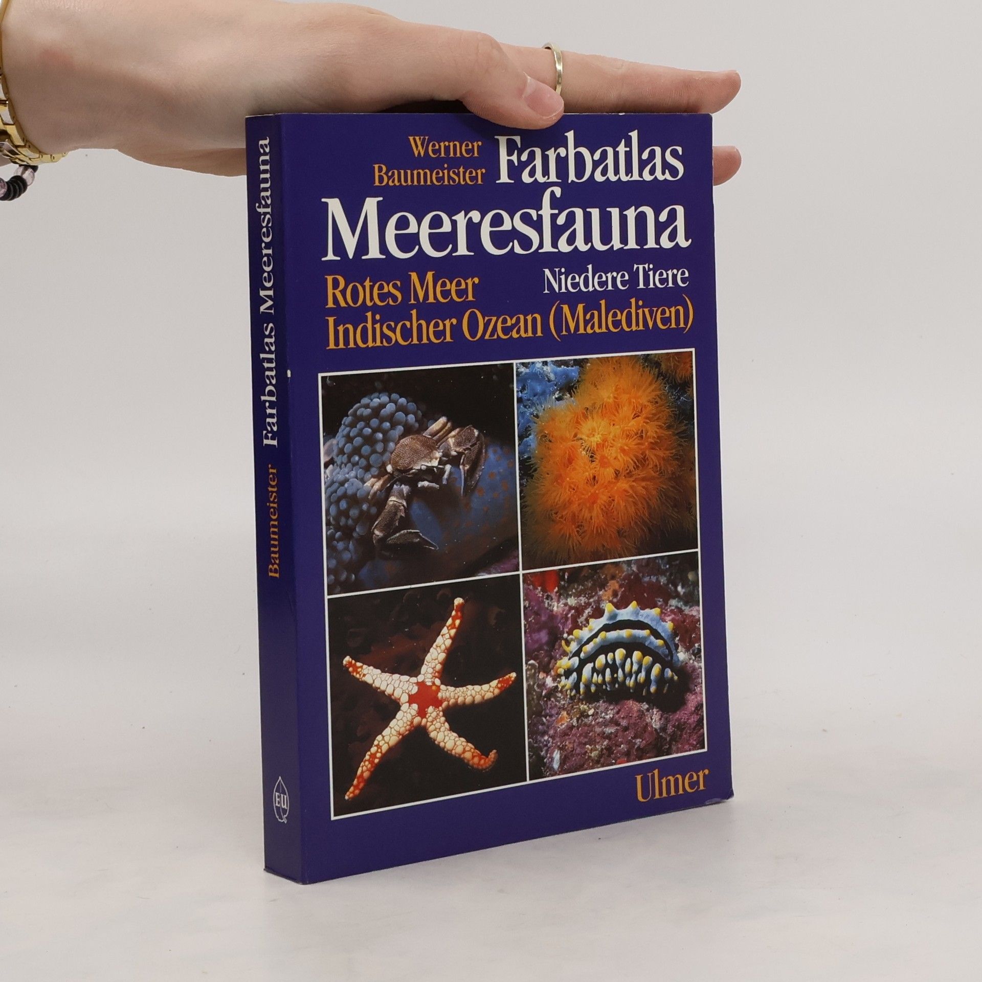 Werner Baumeister Farbatlas Meeresfauna