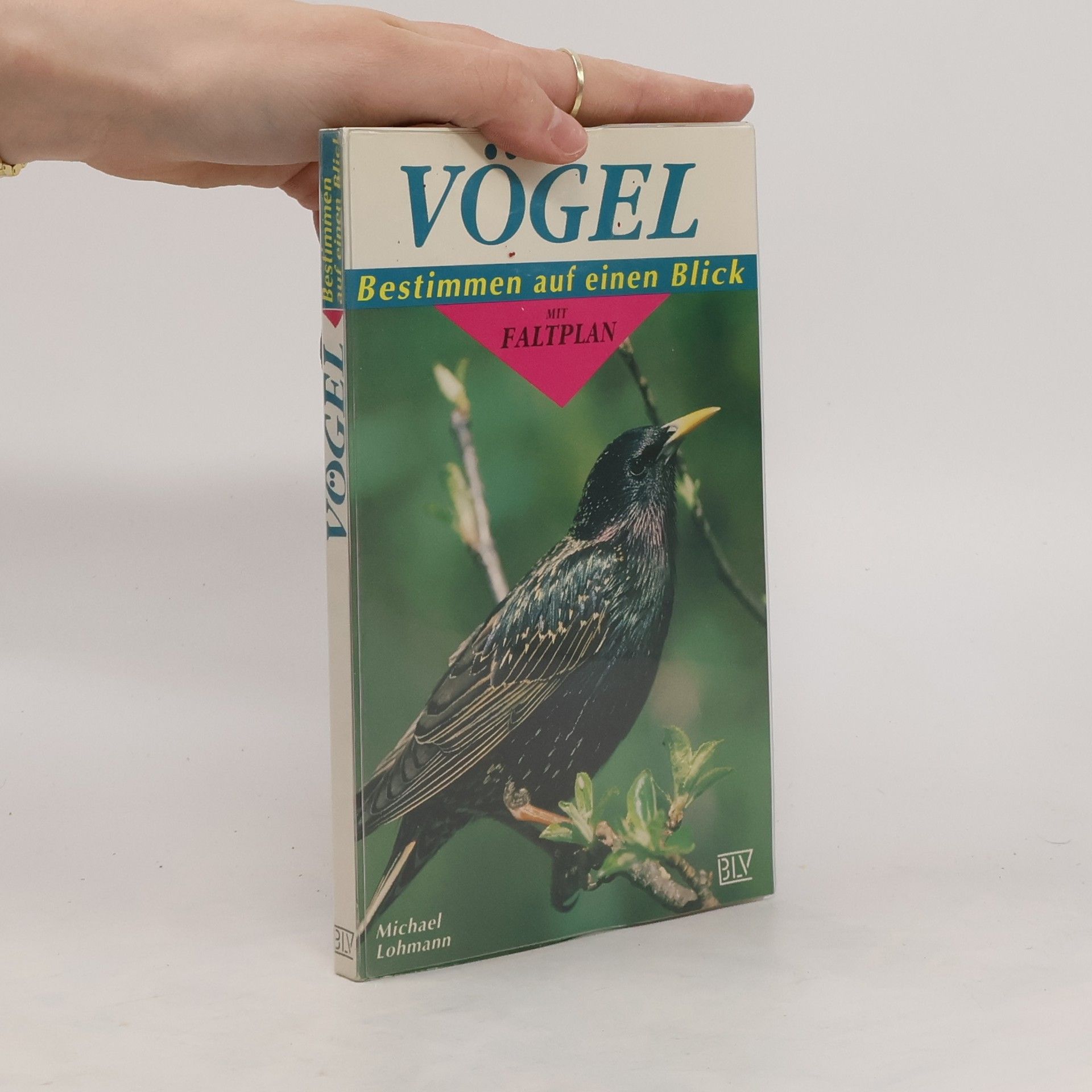 Michael Lohmann Vögel