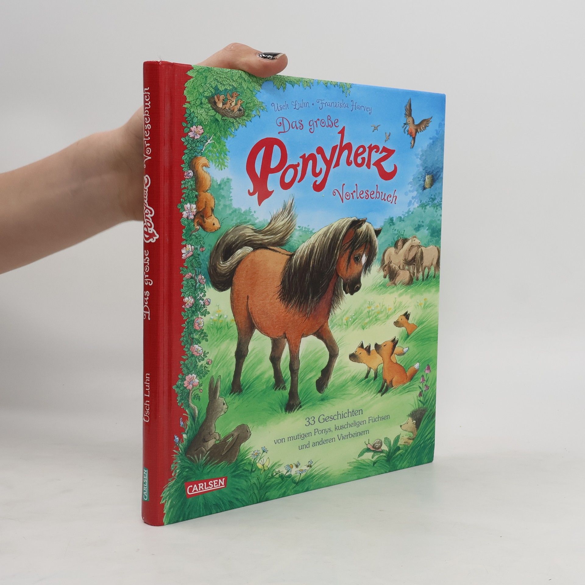 Usch Luhn Das große Ponyherz Vorlesebuch