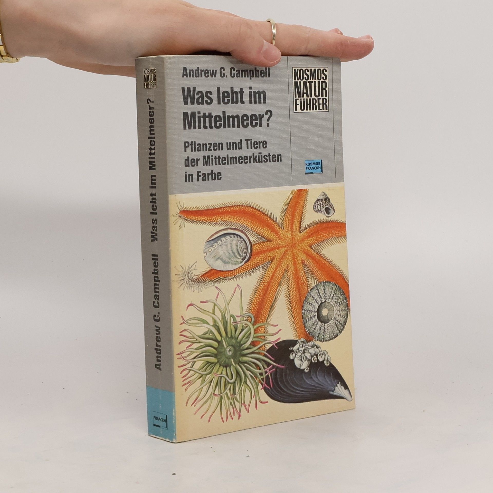 Andrew C. Campbell Was lebt im Mittelmeer?