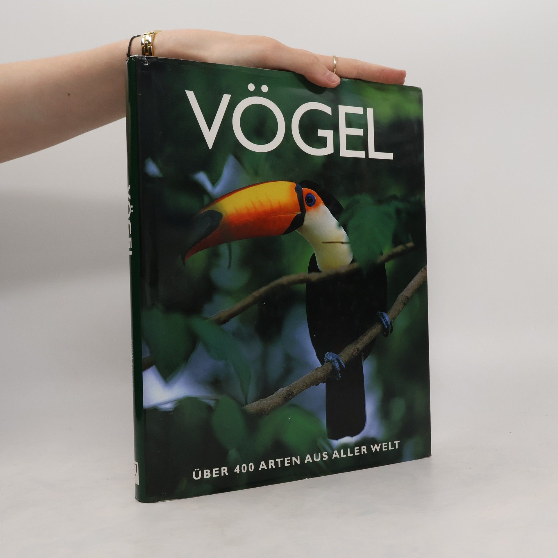 Eva Dempewolf Vögel