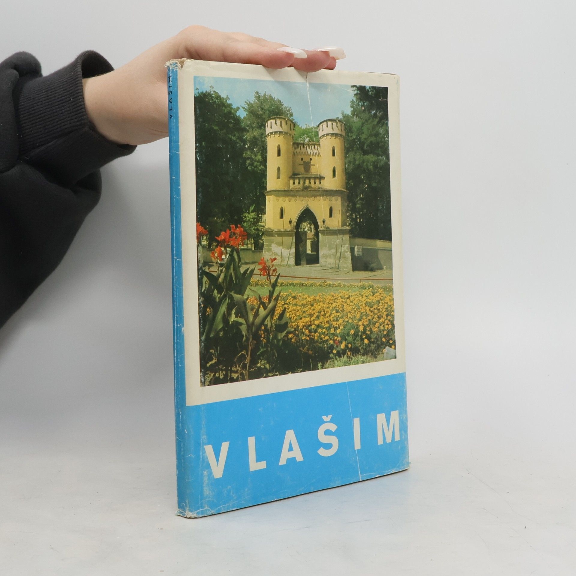Collective Vlašim