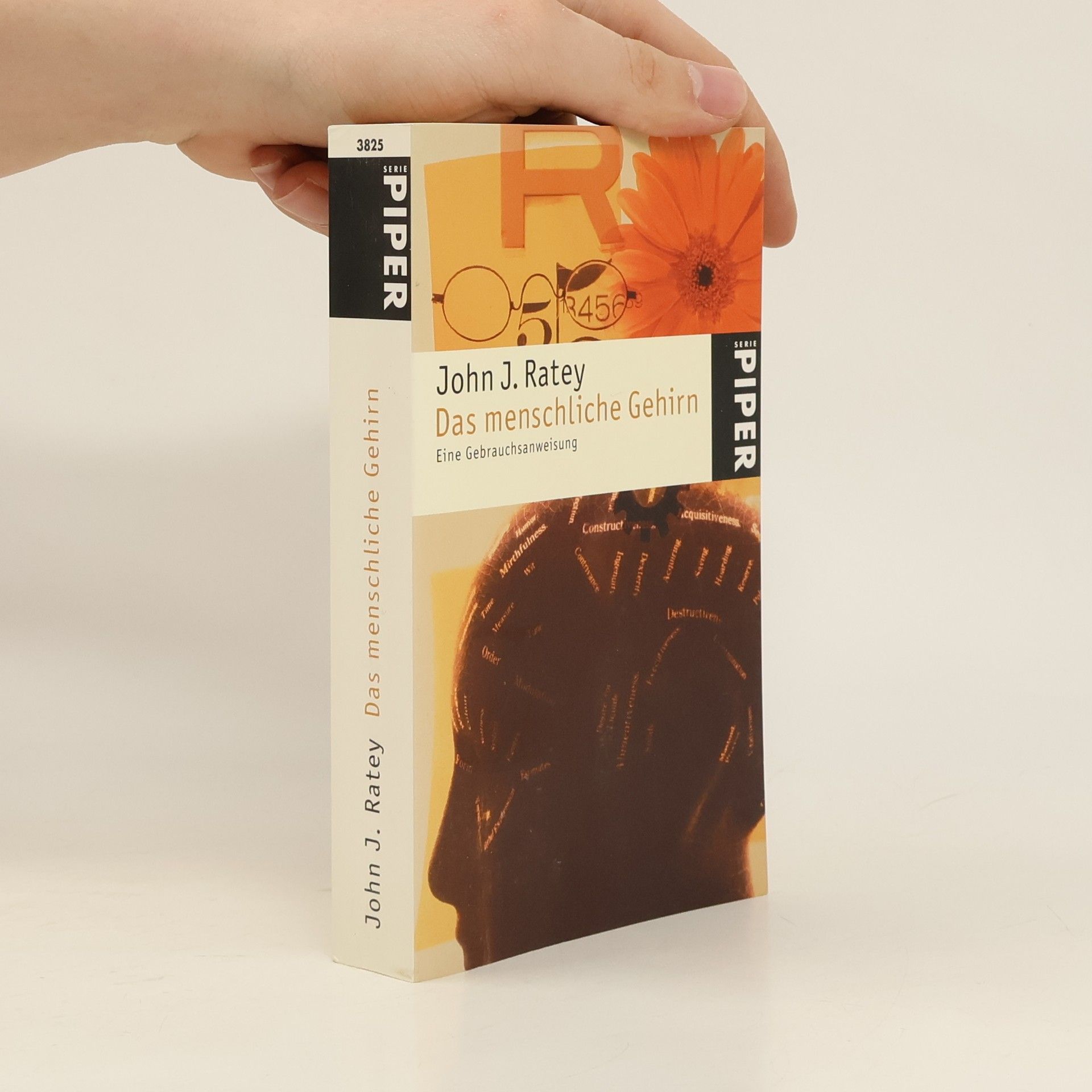John J. Ratey Das menschliche Gehirn