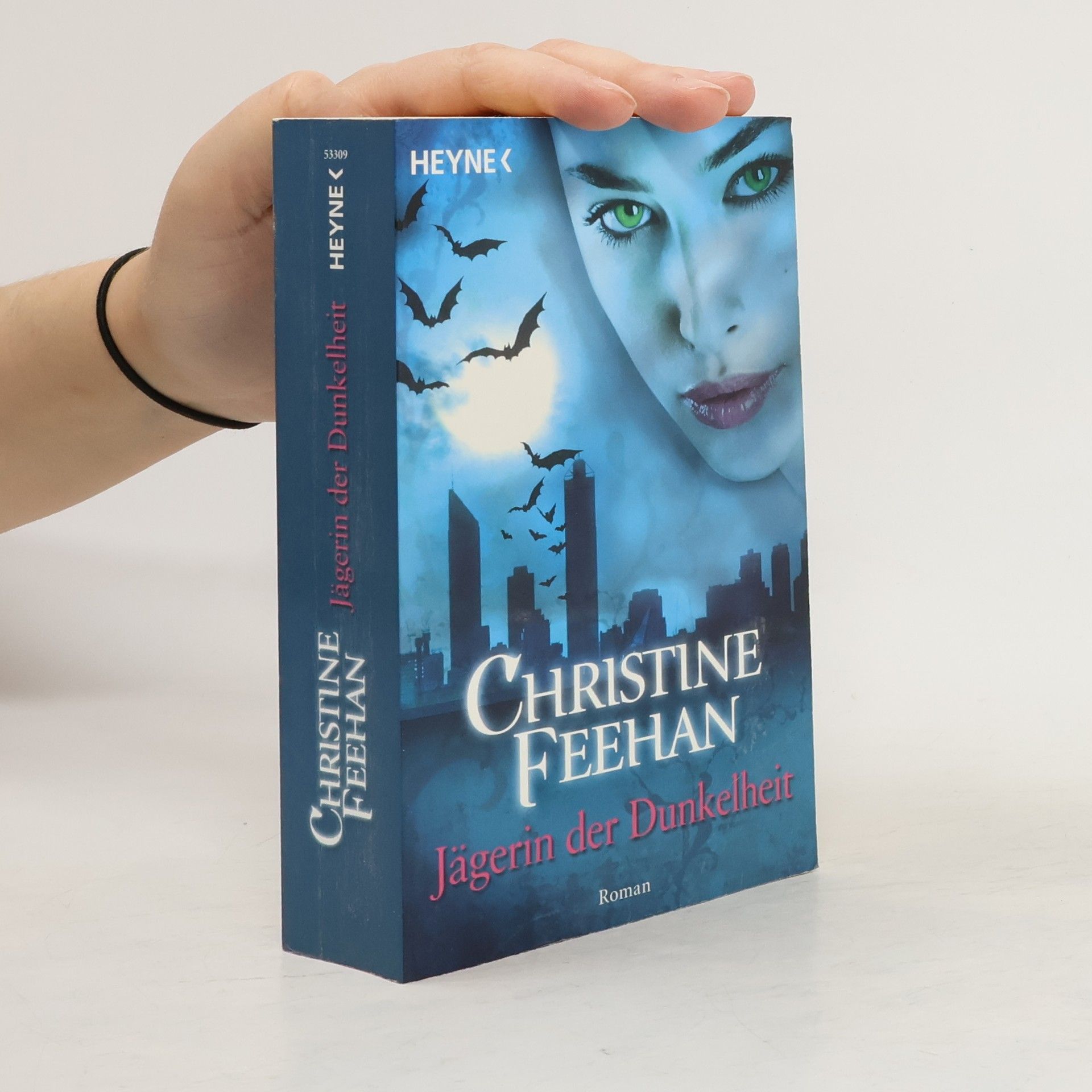 Christine Feehan Jägerin der Dunkelheit
