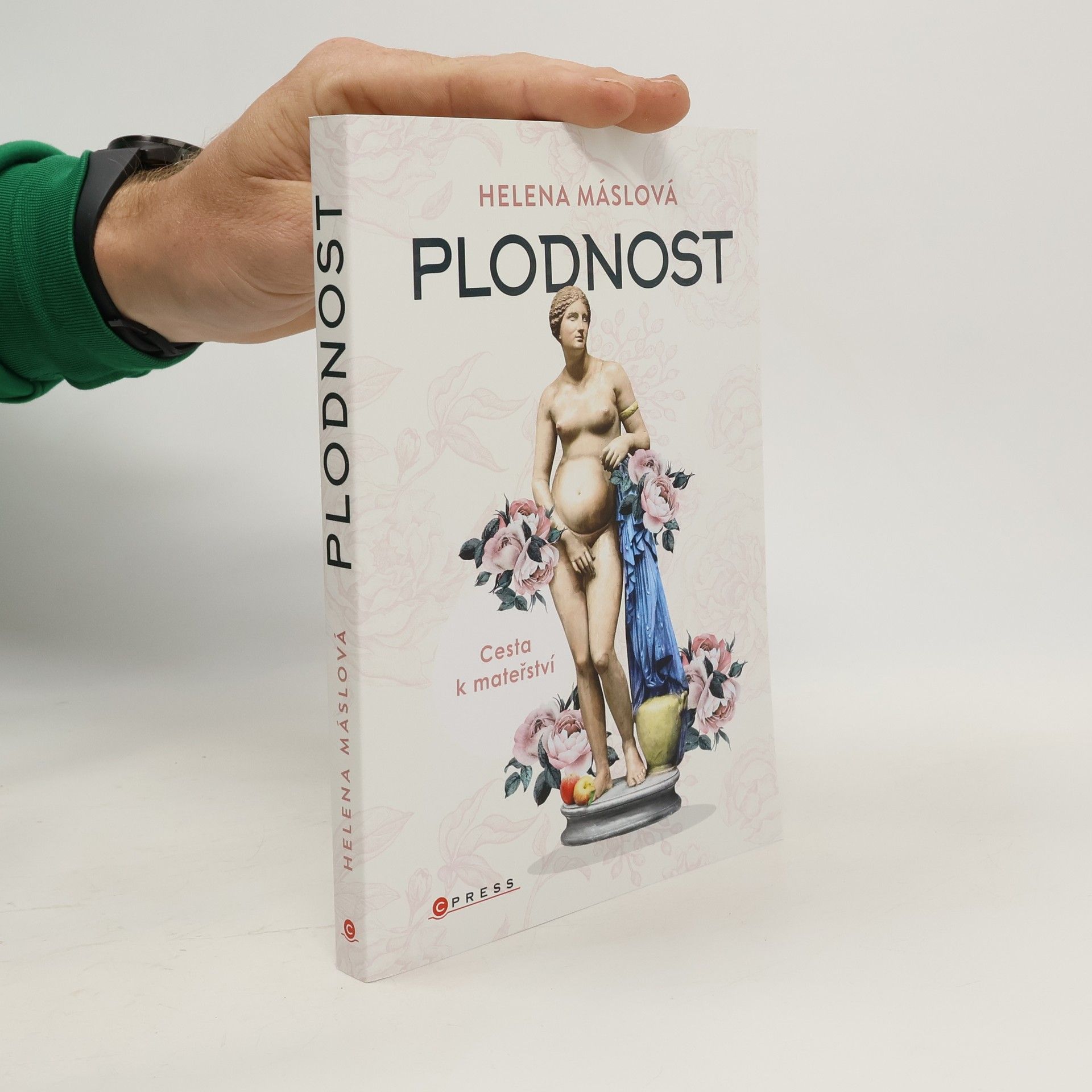 Helena Máslová Plodnost : cesta k mateřství