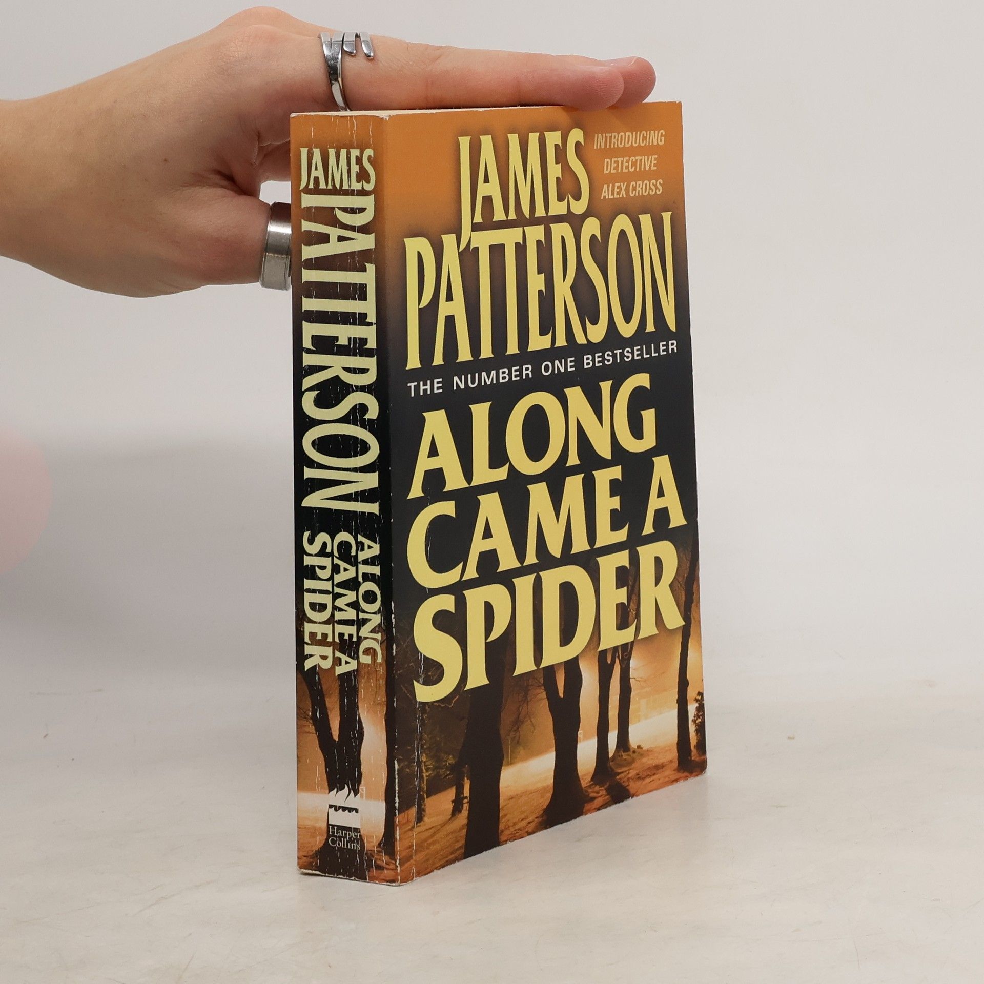 James Patterson Along came a spider