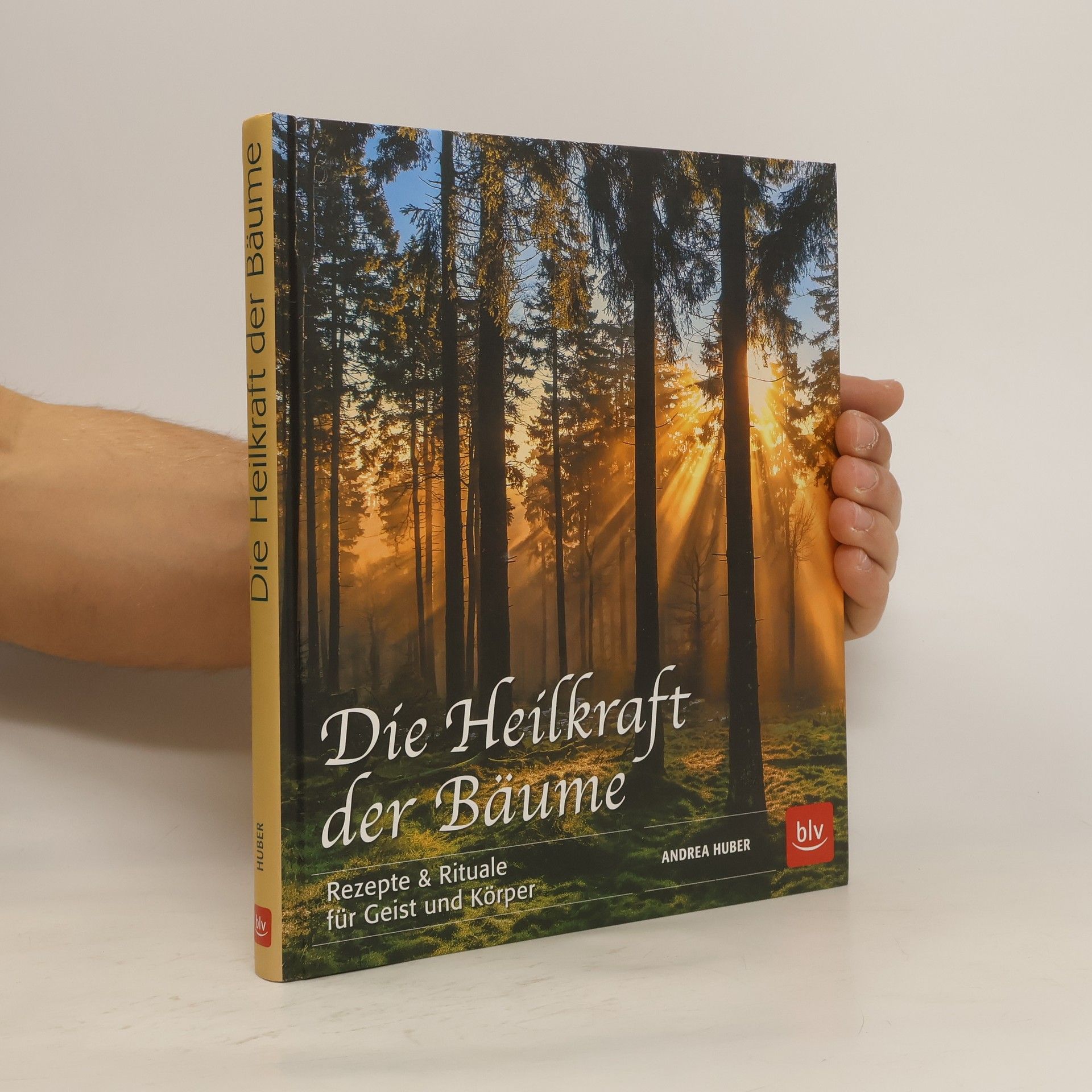 Ulrike Seweryn Die Heilkraft der Bäume