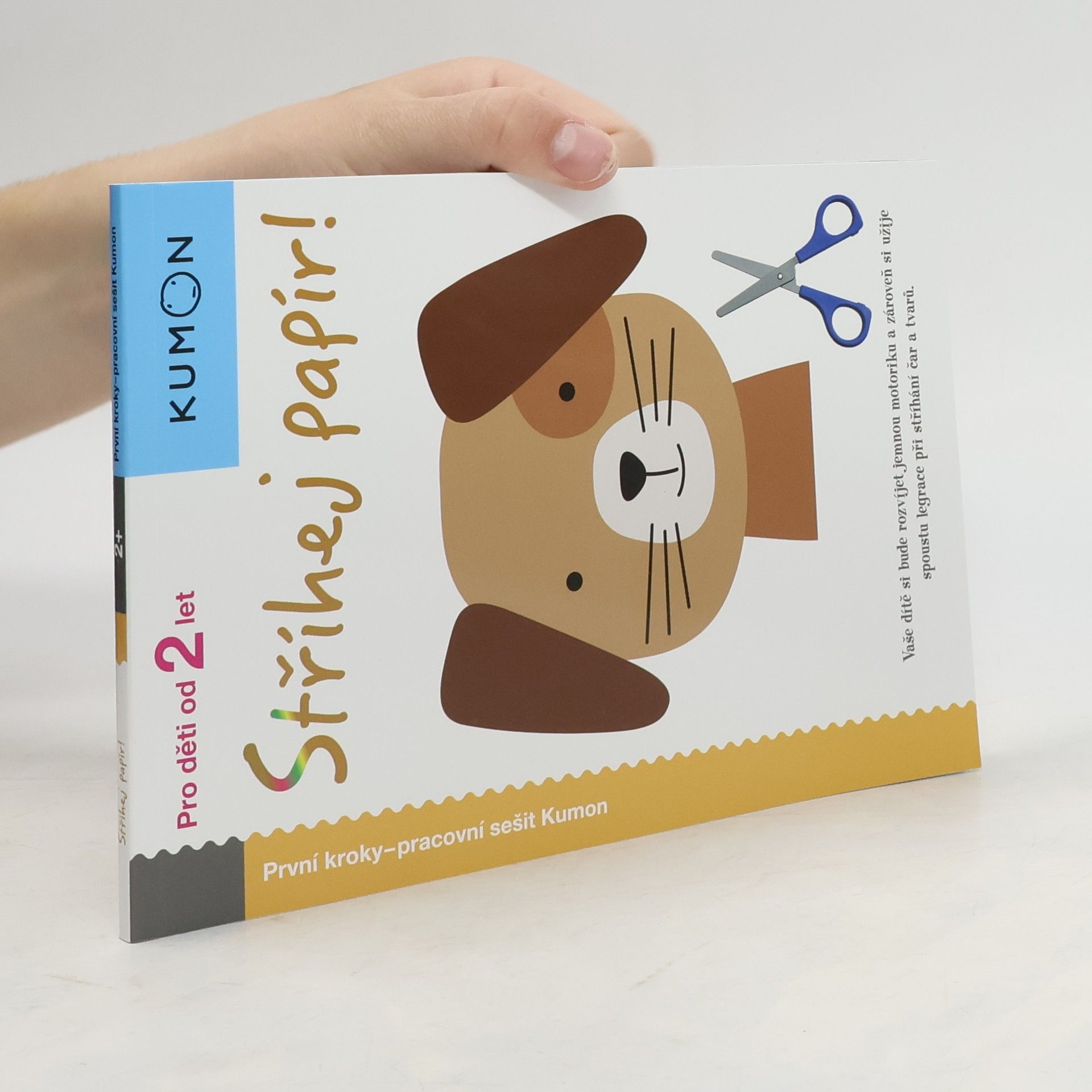 Kateřina Čedíková Stříhej papír! Pracovní sešit Kumon