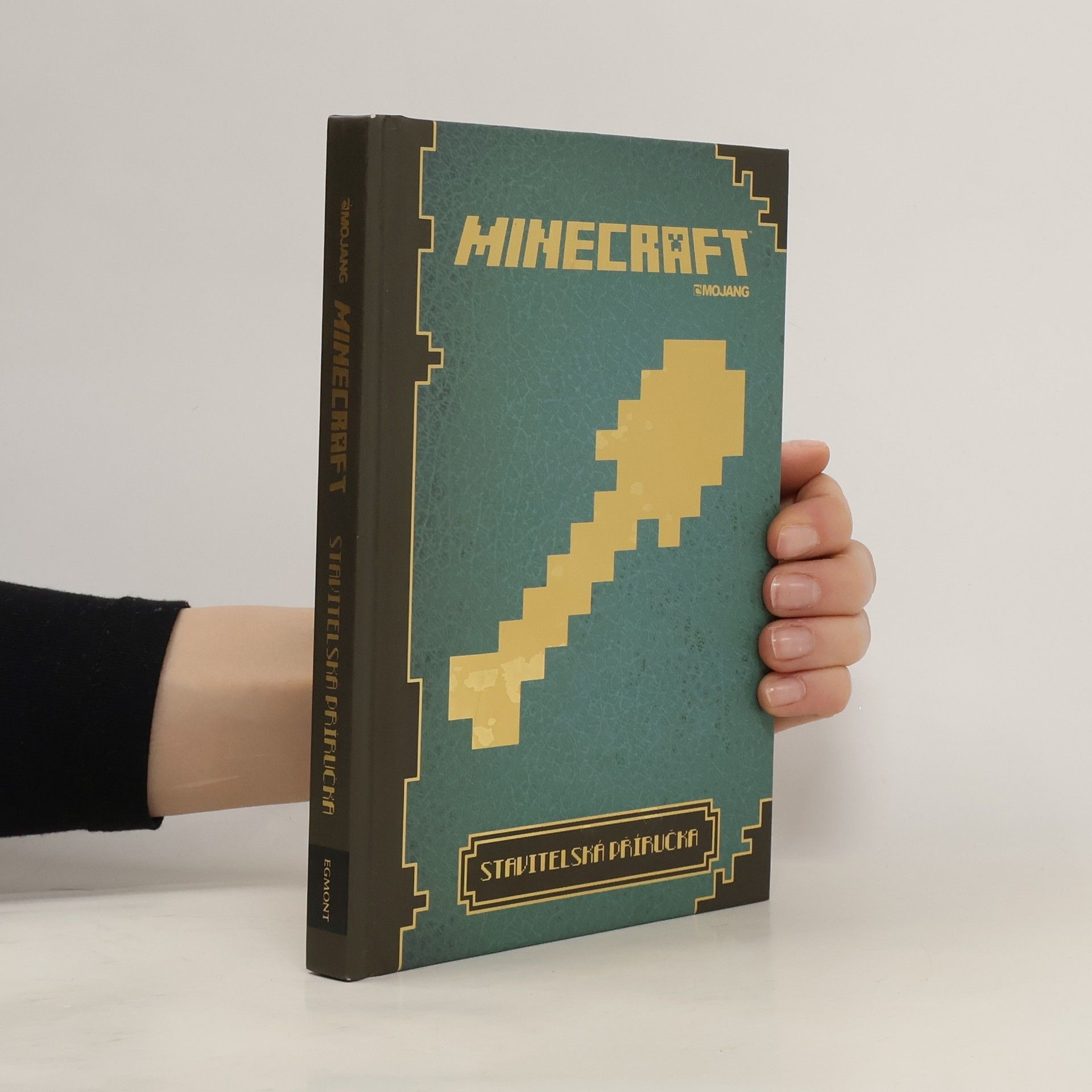 Matyáš Theodor Frydrych Minecraft: Stavitelská příručka