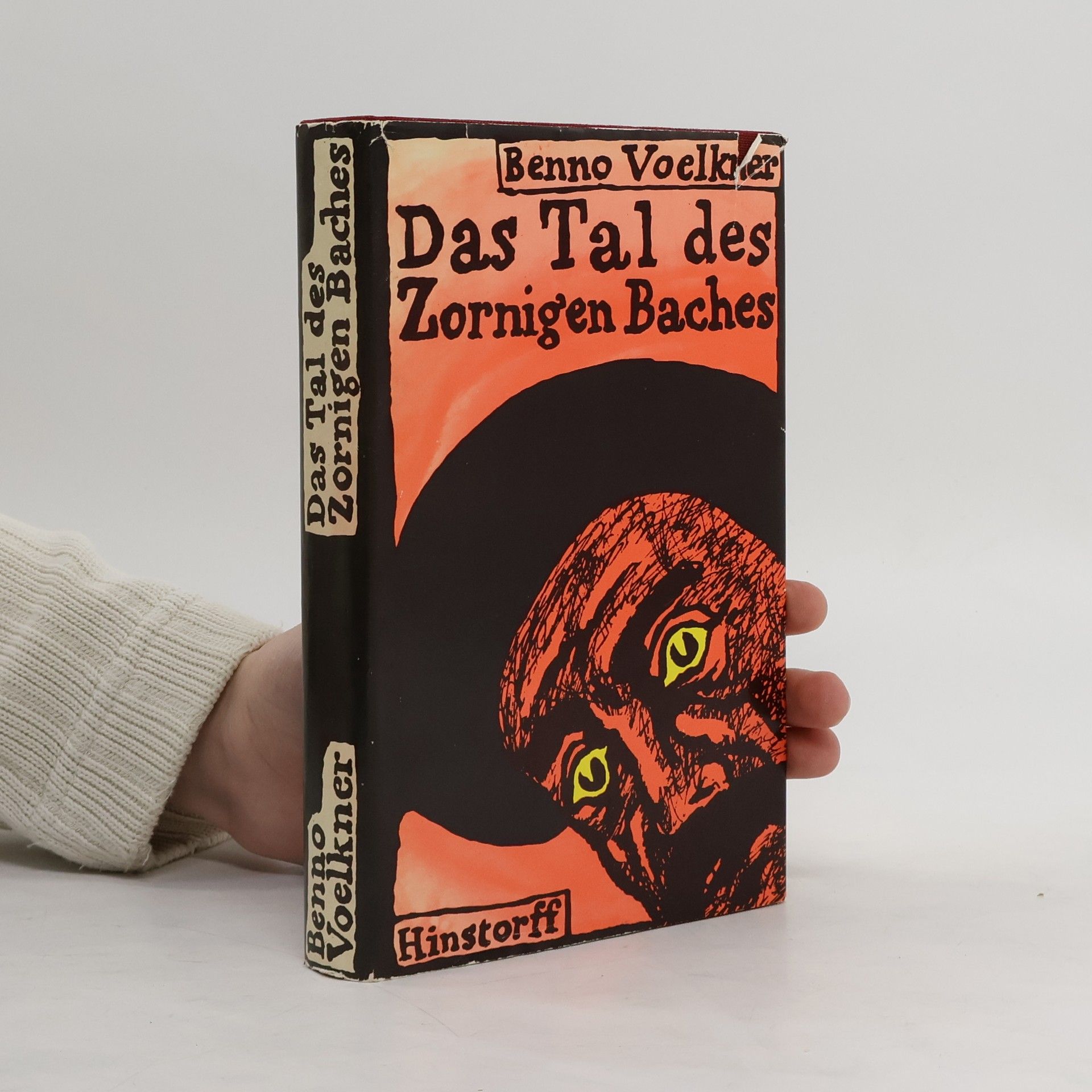 Benno Voelkner Das Tal des zornigen Baches