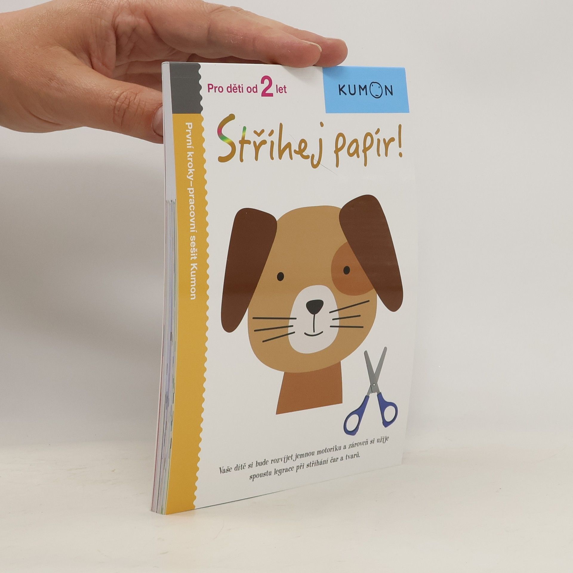 Kateřina Čedíková Stříhej papír! Pracovní sešit Kumon