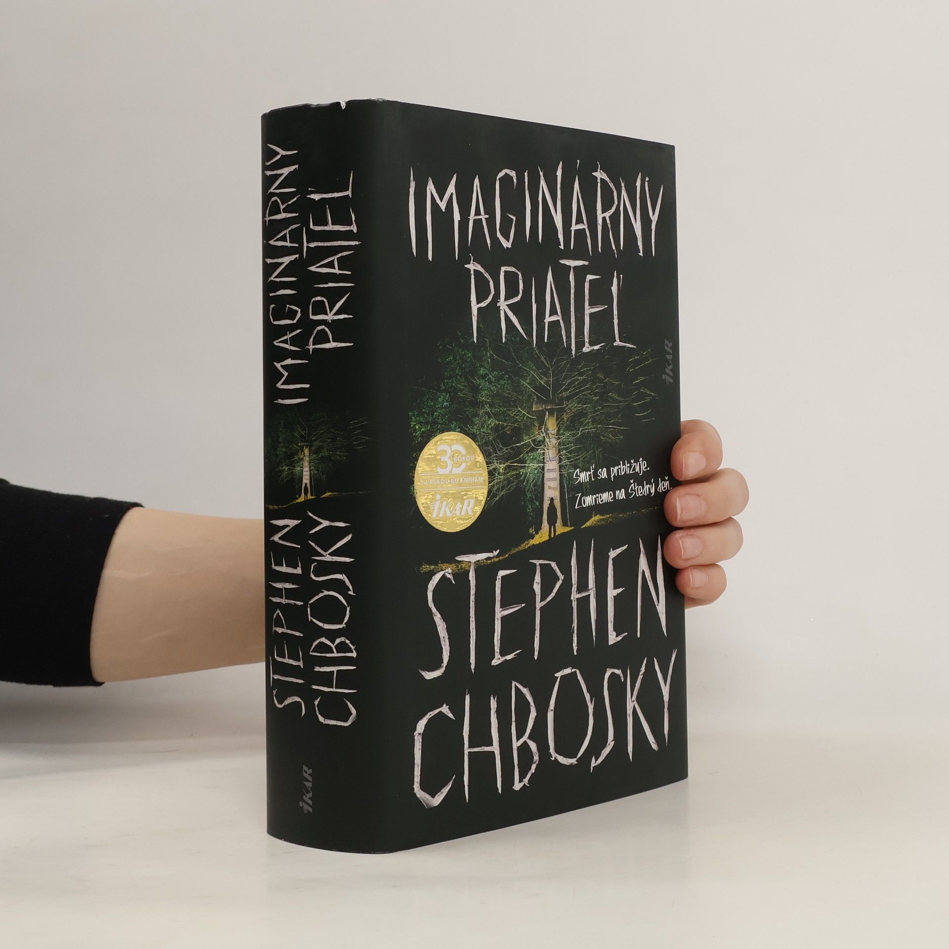 Stephen Chbosky Imaginárny priateľ