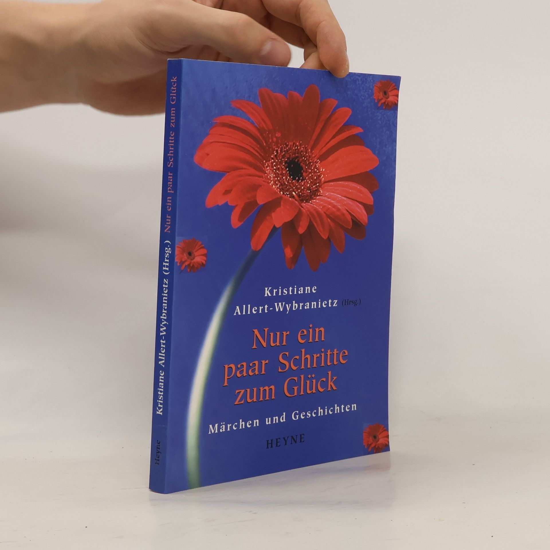 Kristiane Allert-Wybranietz Nur ein paar Schritte zum Glück