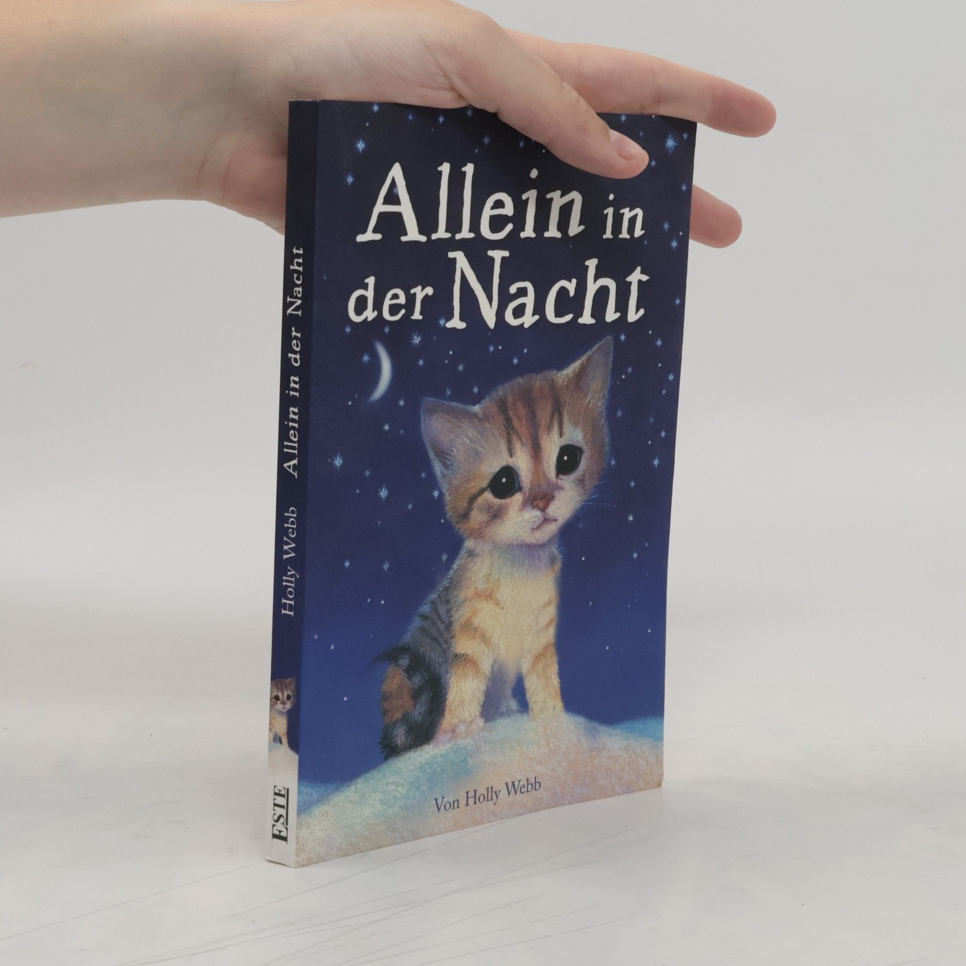 AA.VV. Alleine in der Nacht