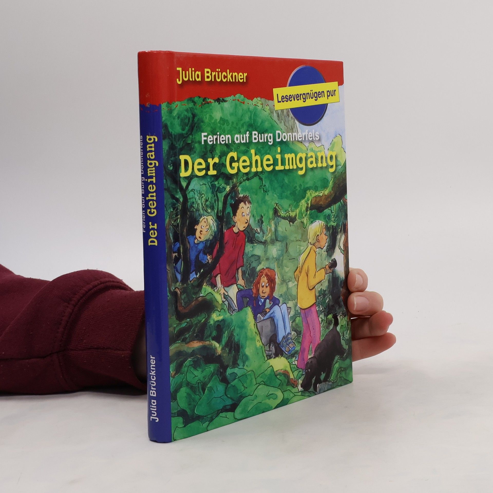 Julia Brückner Ferien auf Burg Donnerfels. Der Geheimgang