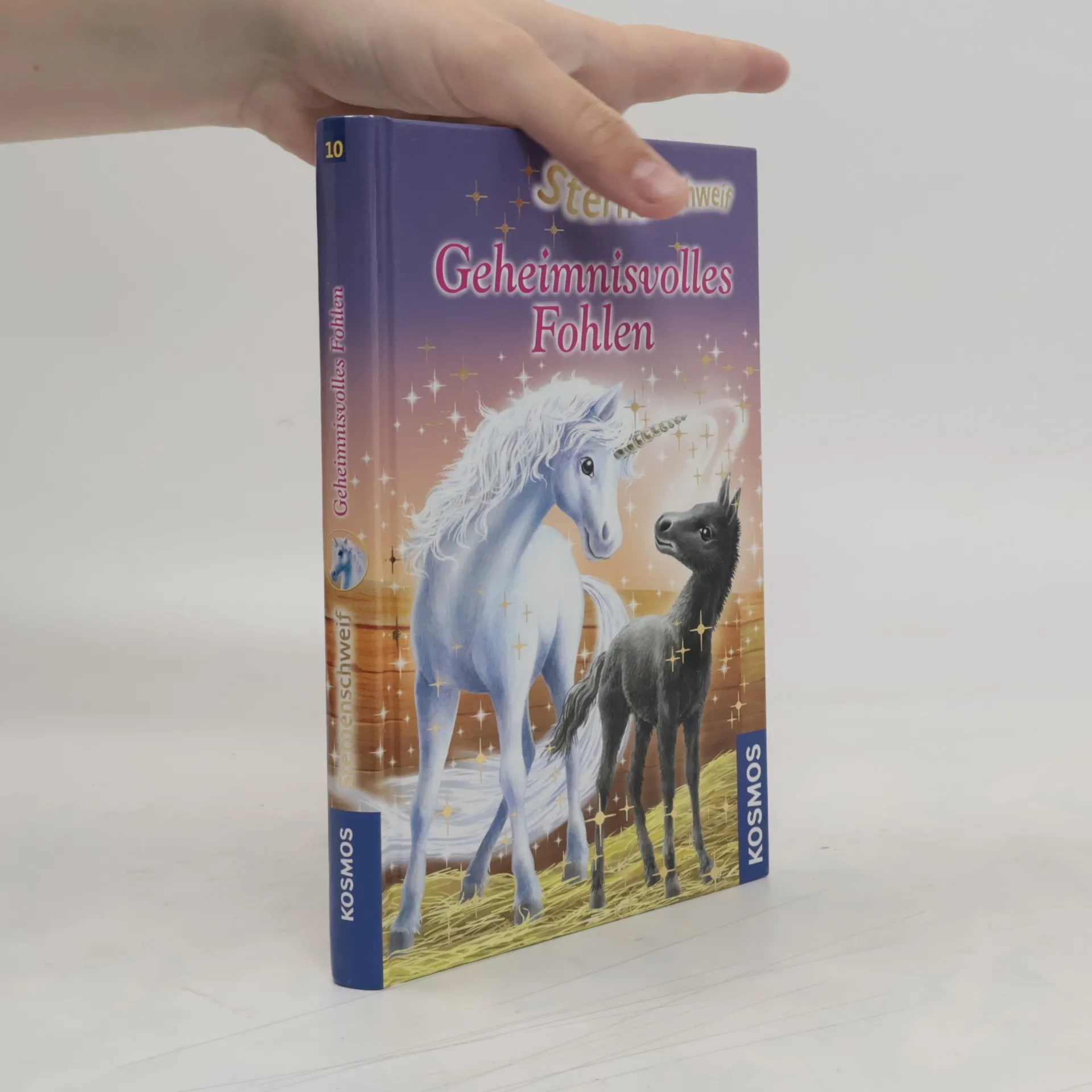 Sternenschweif : Geheimnisvolles Fohlen | Boek | Hardcover | Linda Chapman | DE