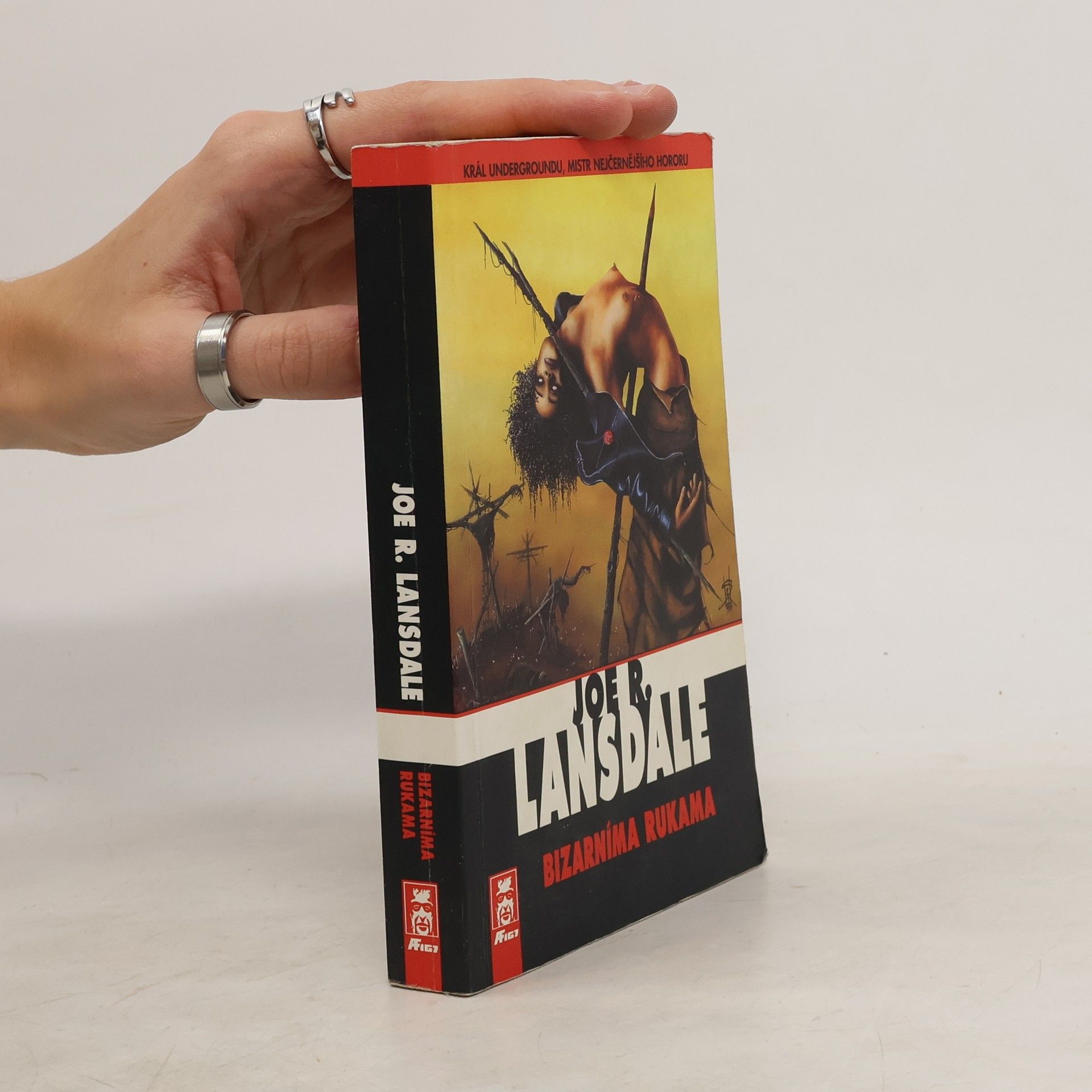 Joe R. Lansdale Bizarníma rukama
