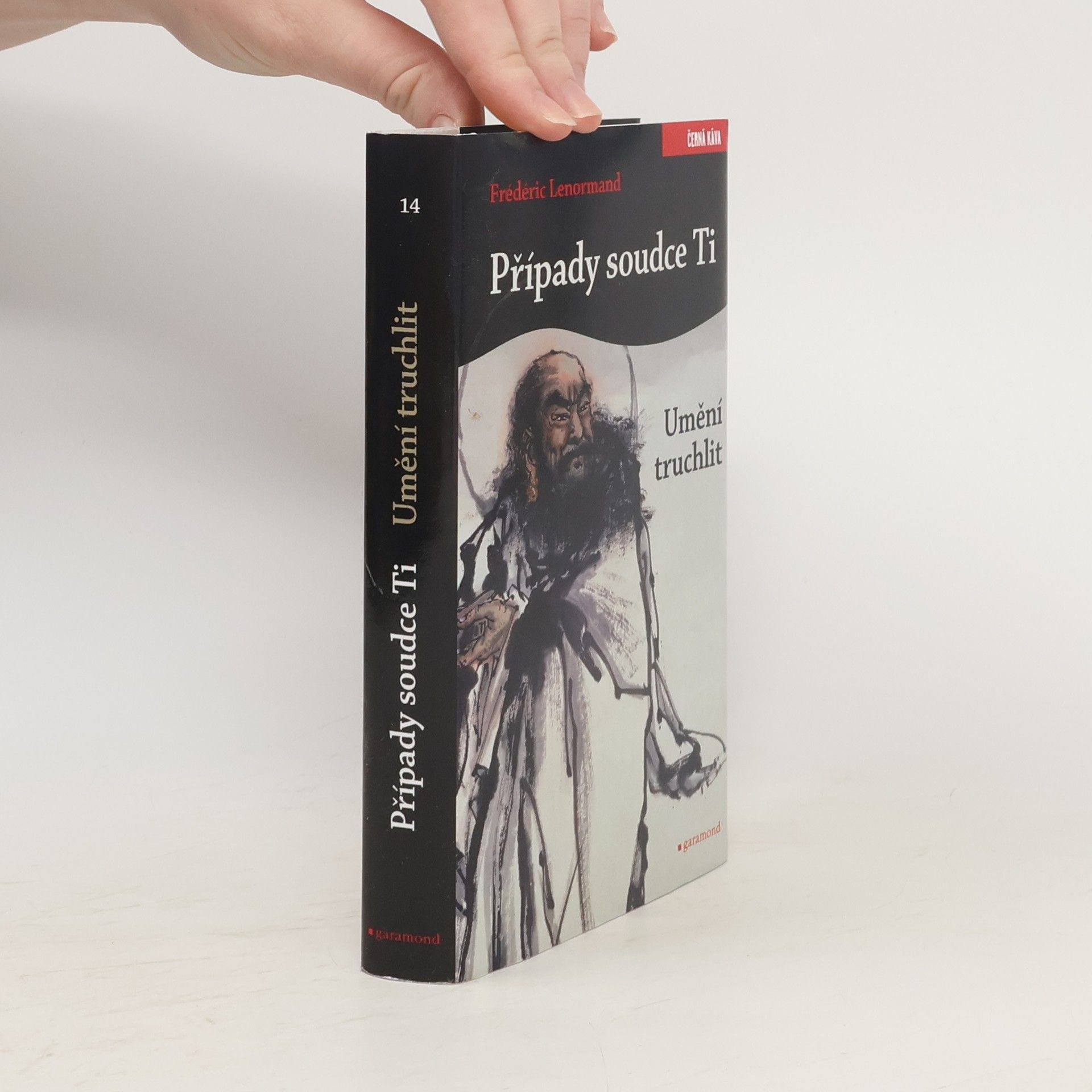 Frédéric Lenormand Případy soudce Ti. Umění truchlit