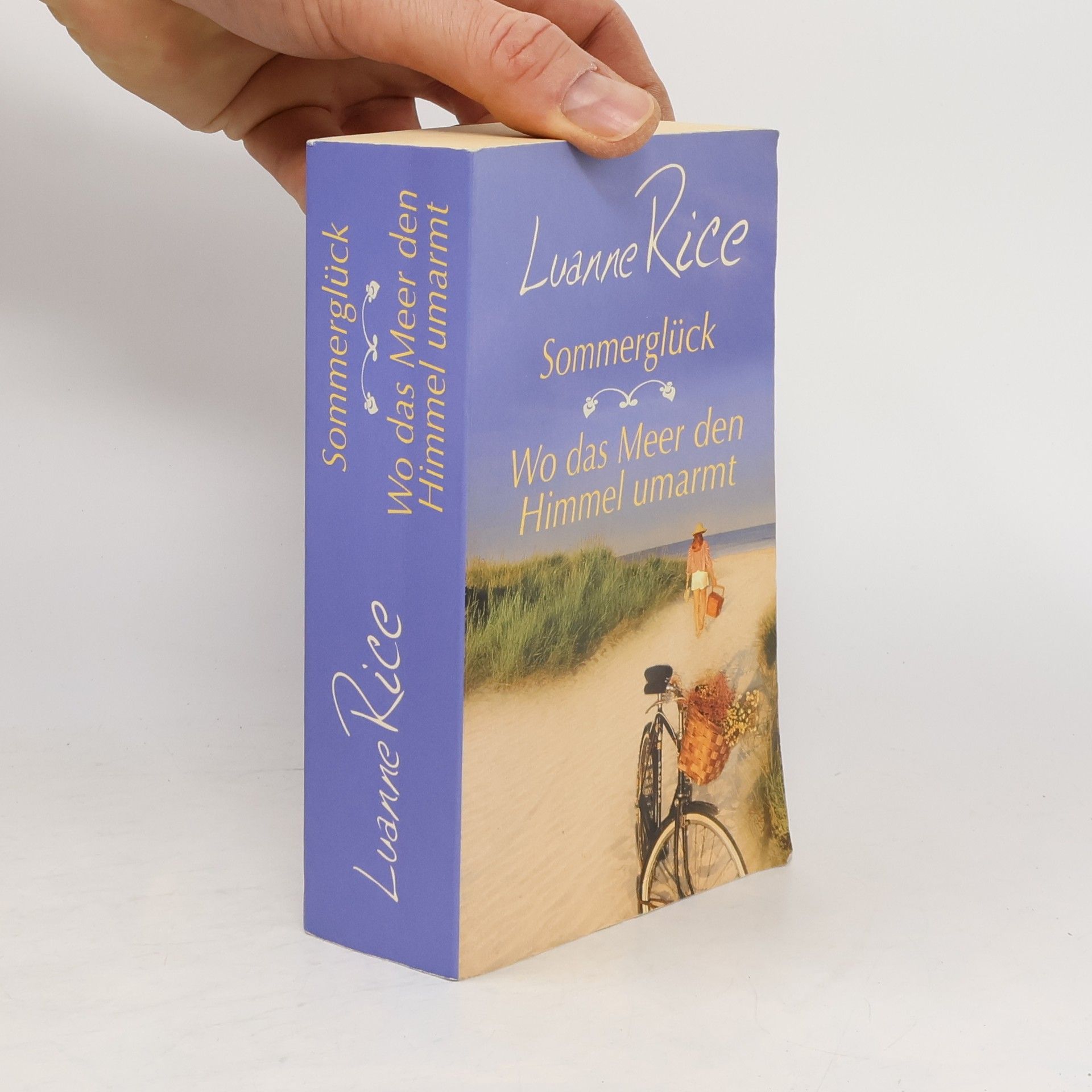 Luanne Rice Sommerglück. Wo das Meer den Himmel umarmt