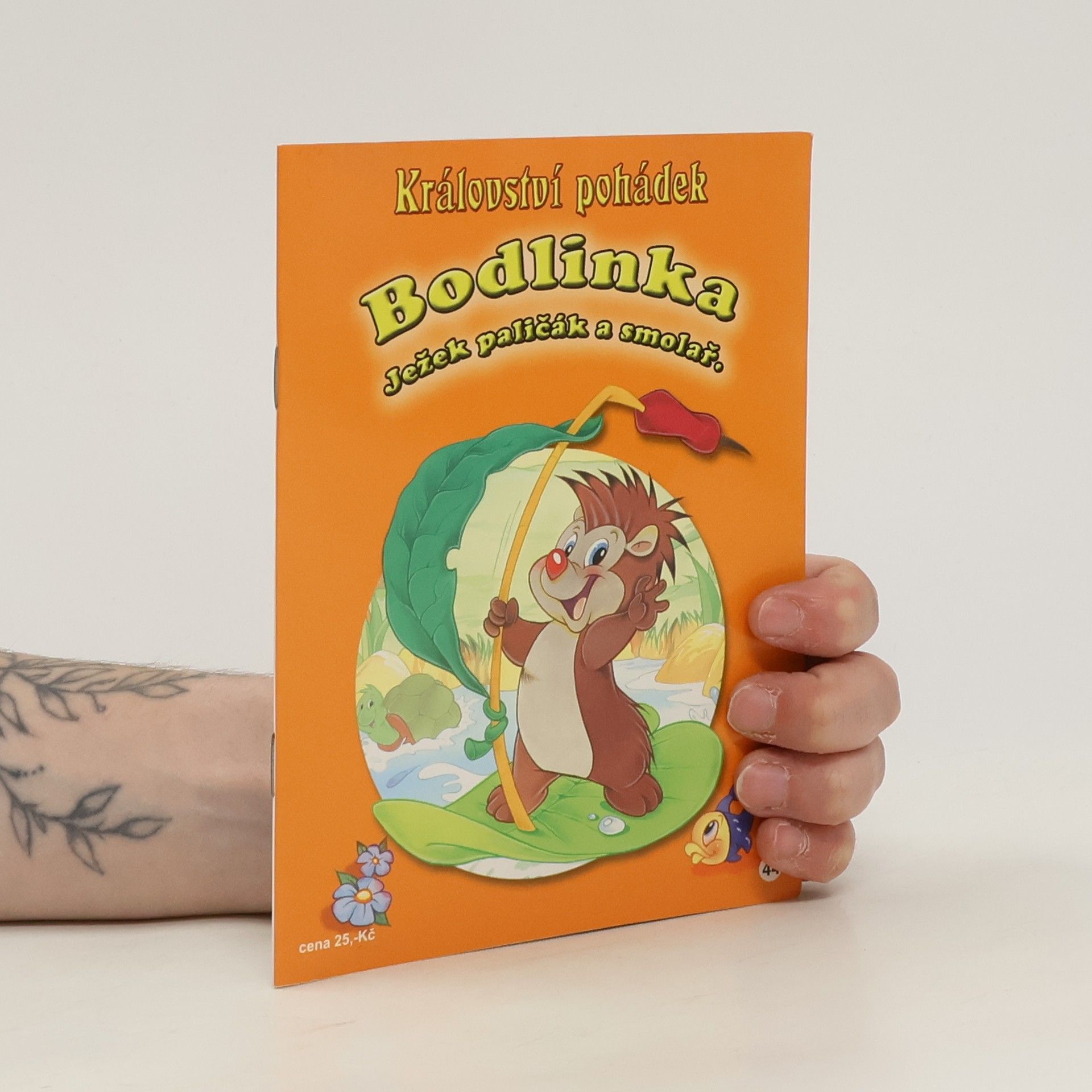 Autorenkollektiv Království pohádek. Bodlinka