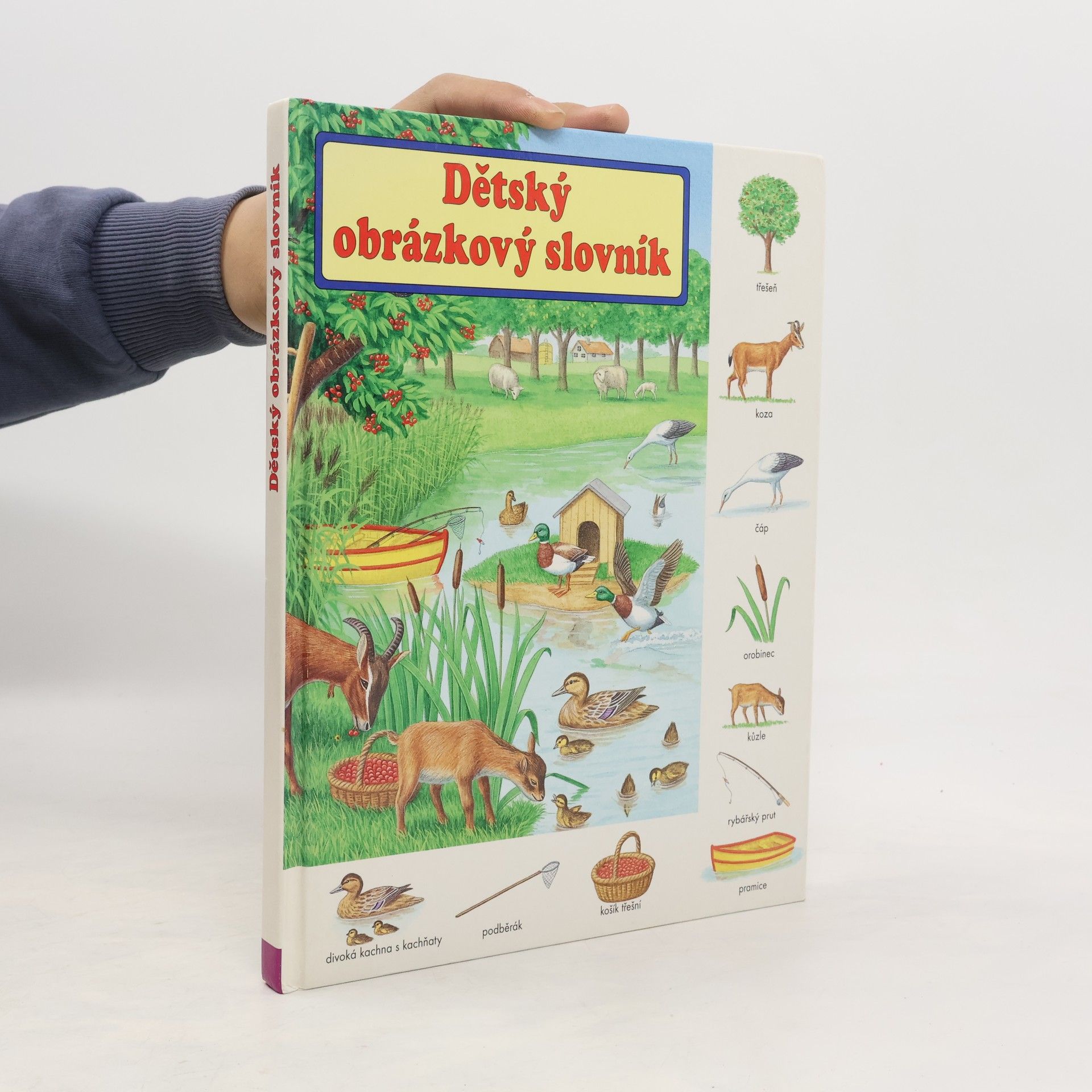 Gisela Fischer-Lingat Dětský obrázkový slovník