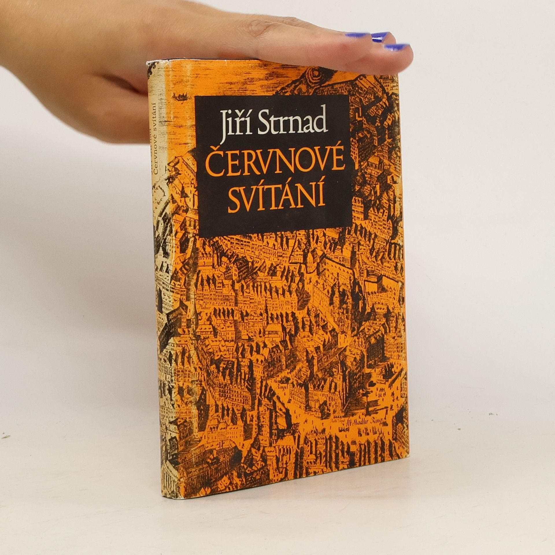 Strnad Jiří Červnové svítání