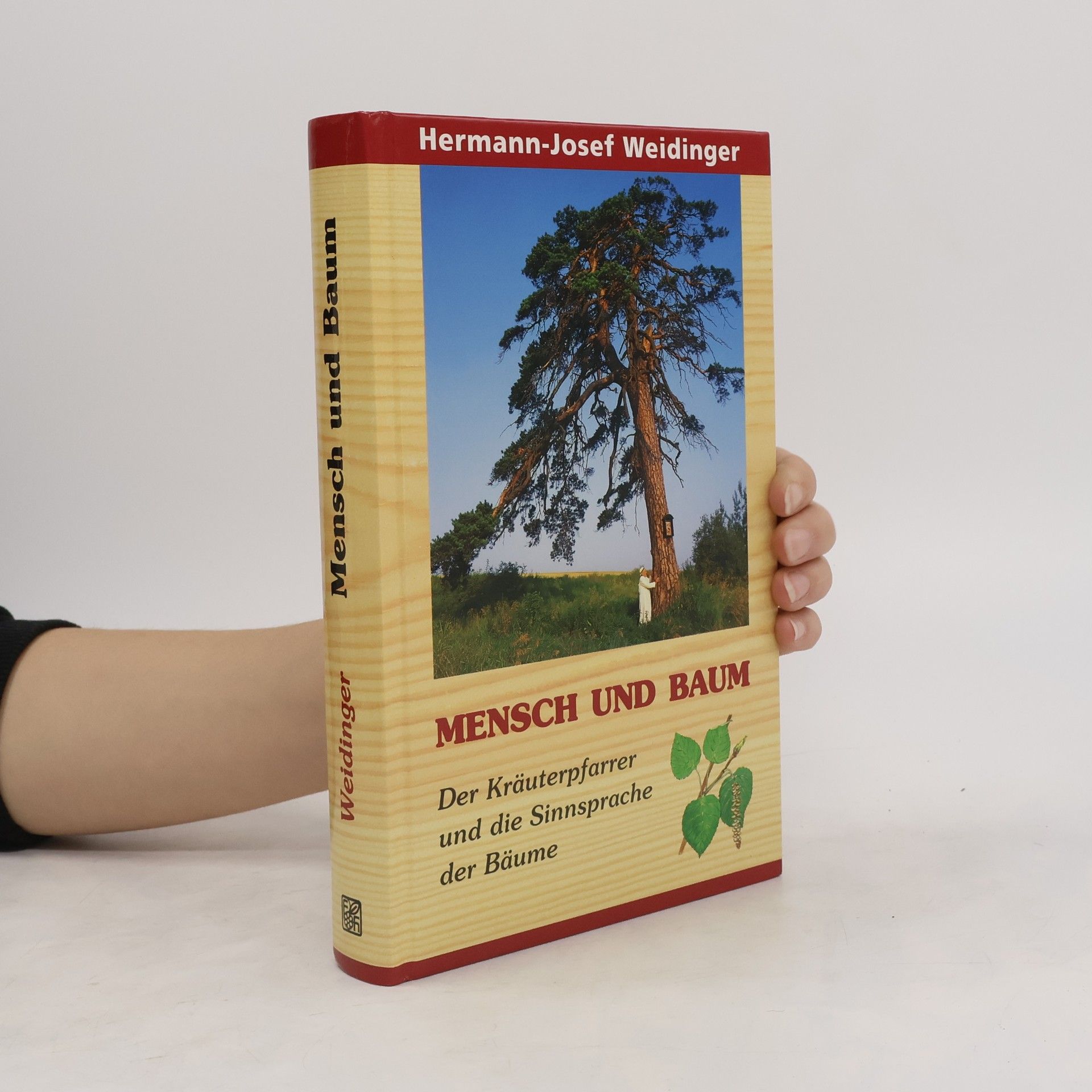 Hermann Josef Weidinger Mensch und Baum