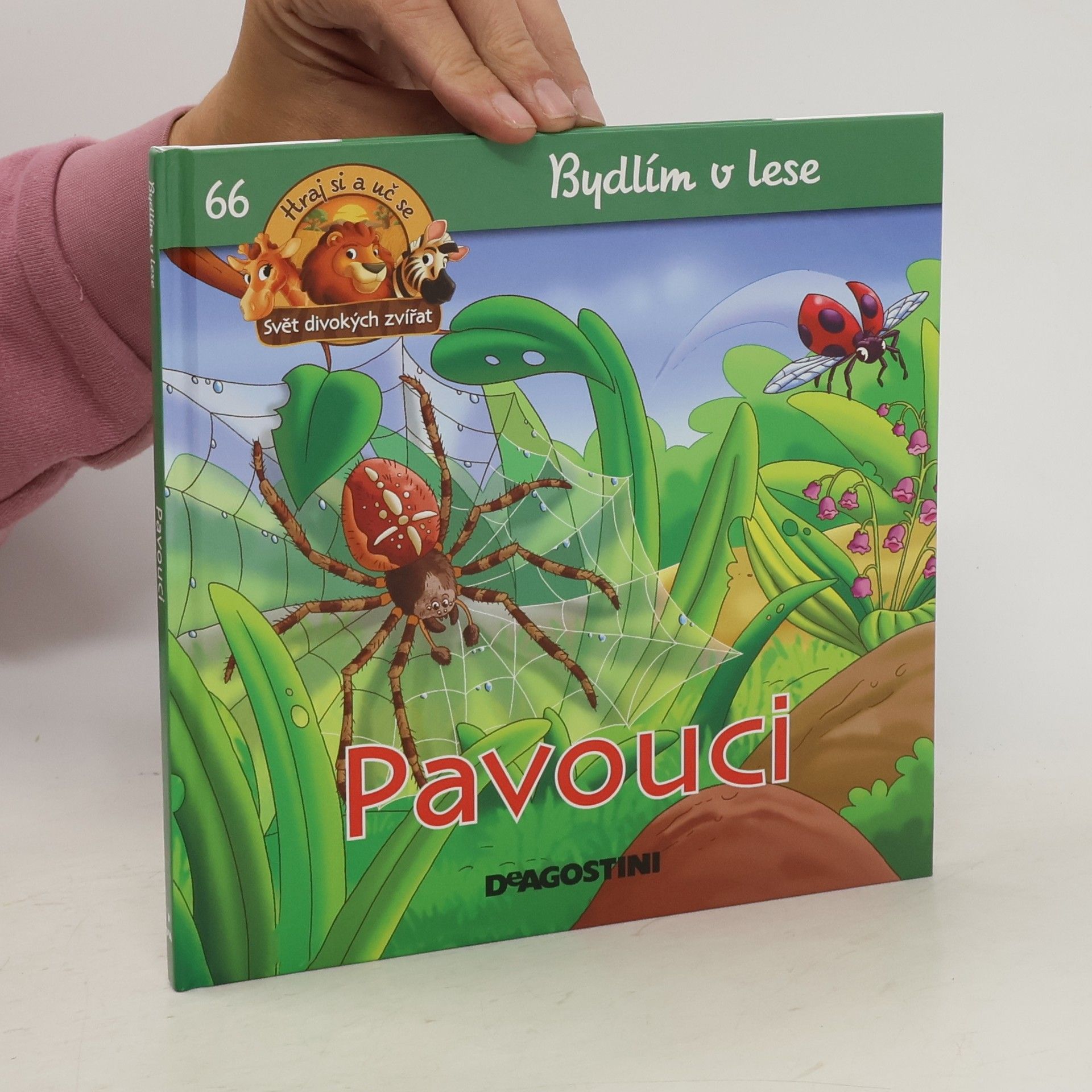 kolektiv Bydlím v lese 60. Pavouci