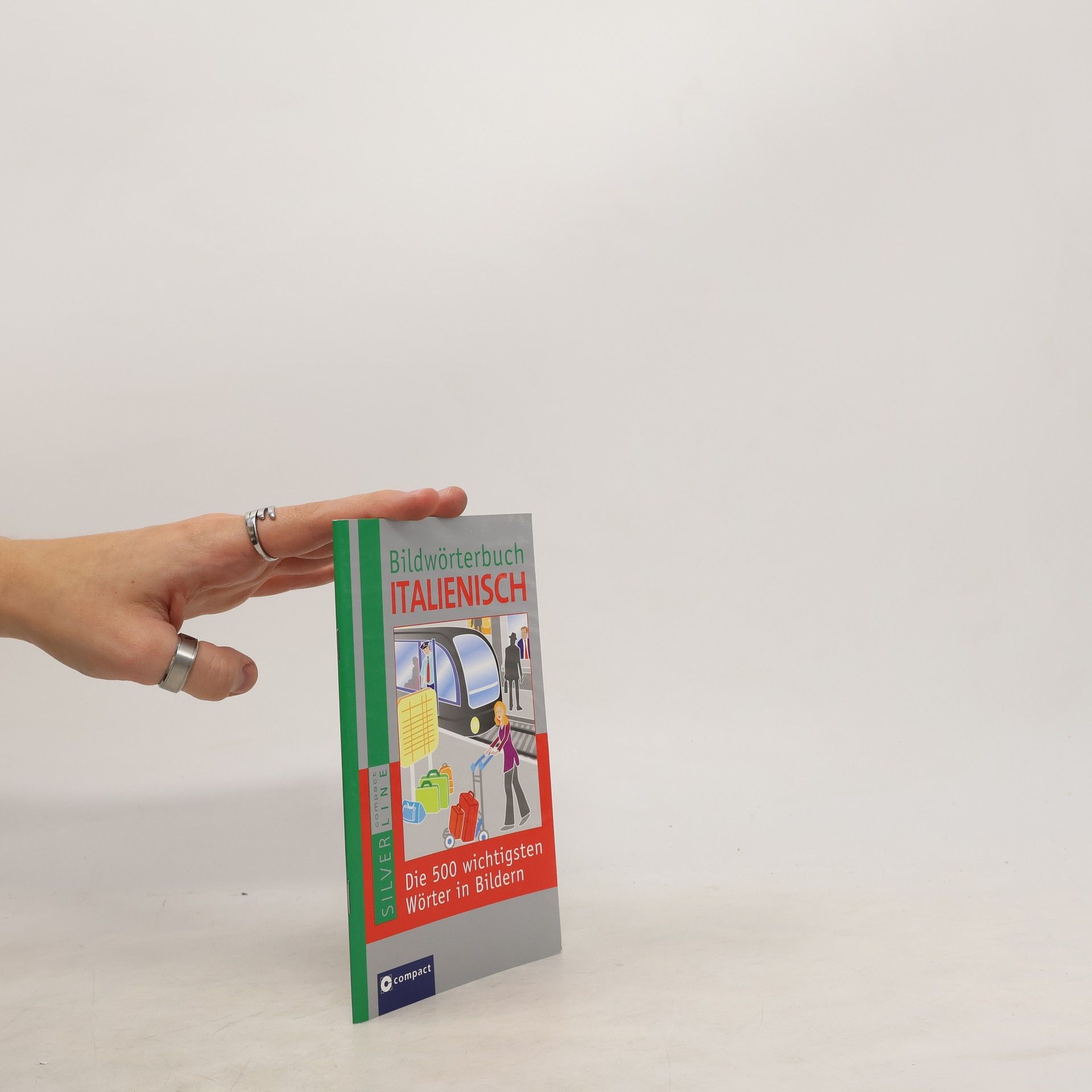 Angela Sendlinger Bildwörterbuch Italienisch